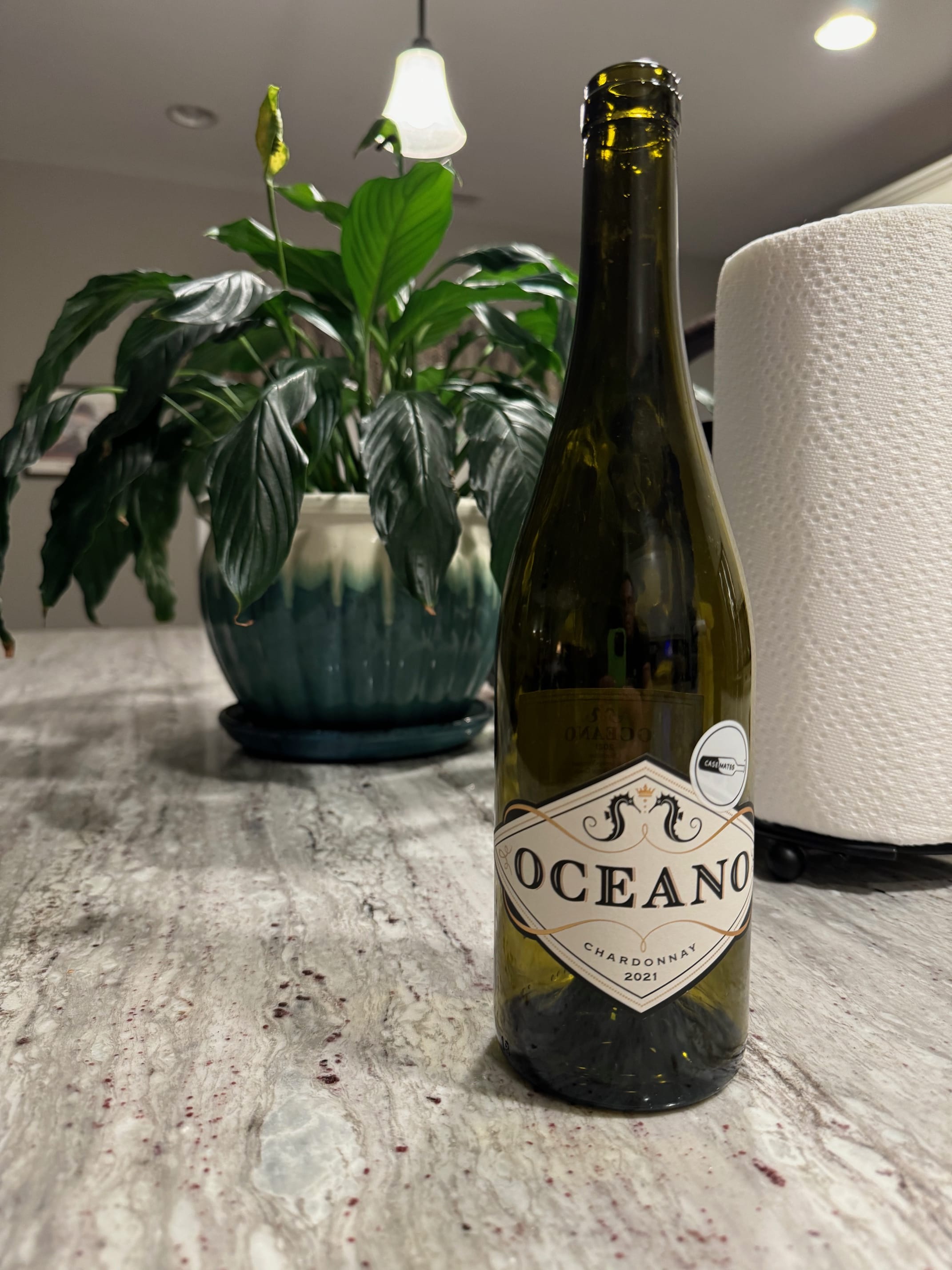 Oceano 2021 Chardonnay