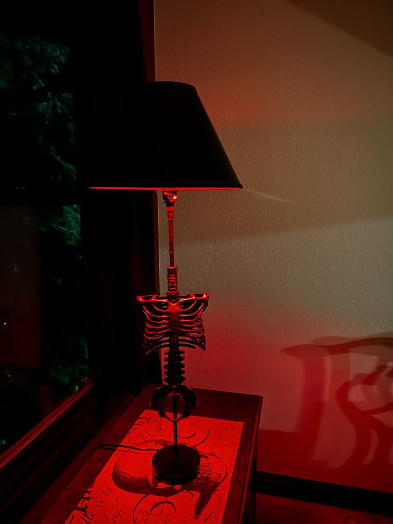 skelly lamp 1