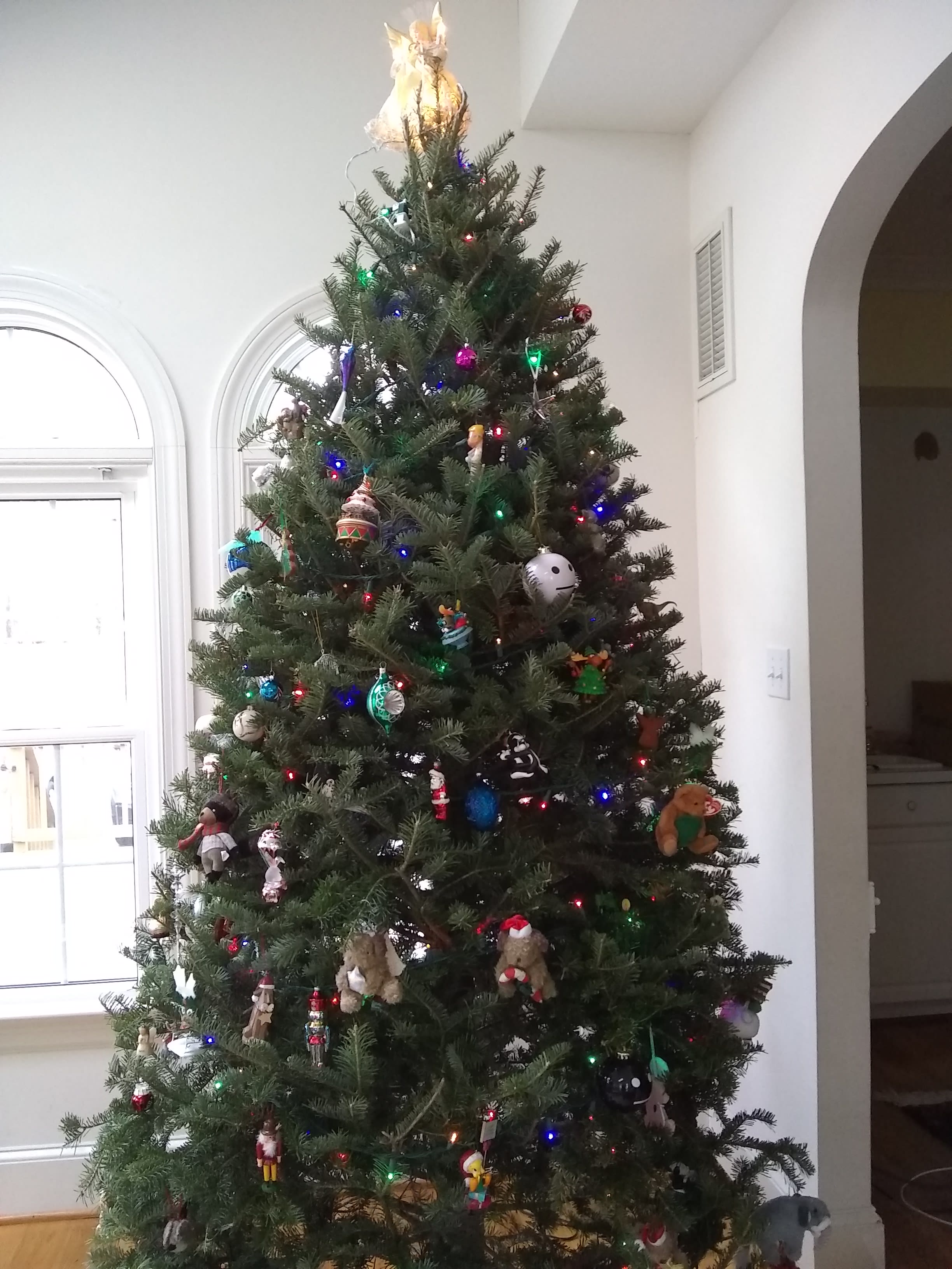 enter image description here