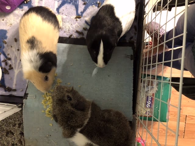 The boys enjoying pea flakes