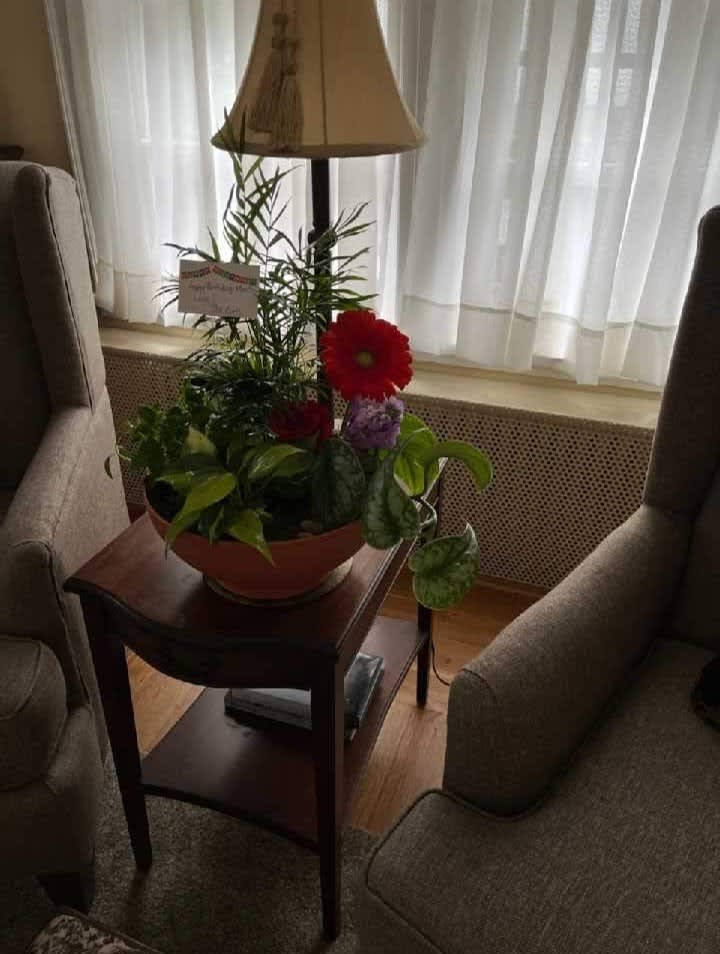 happy birthday mom, dish garden