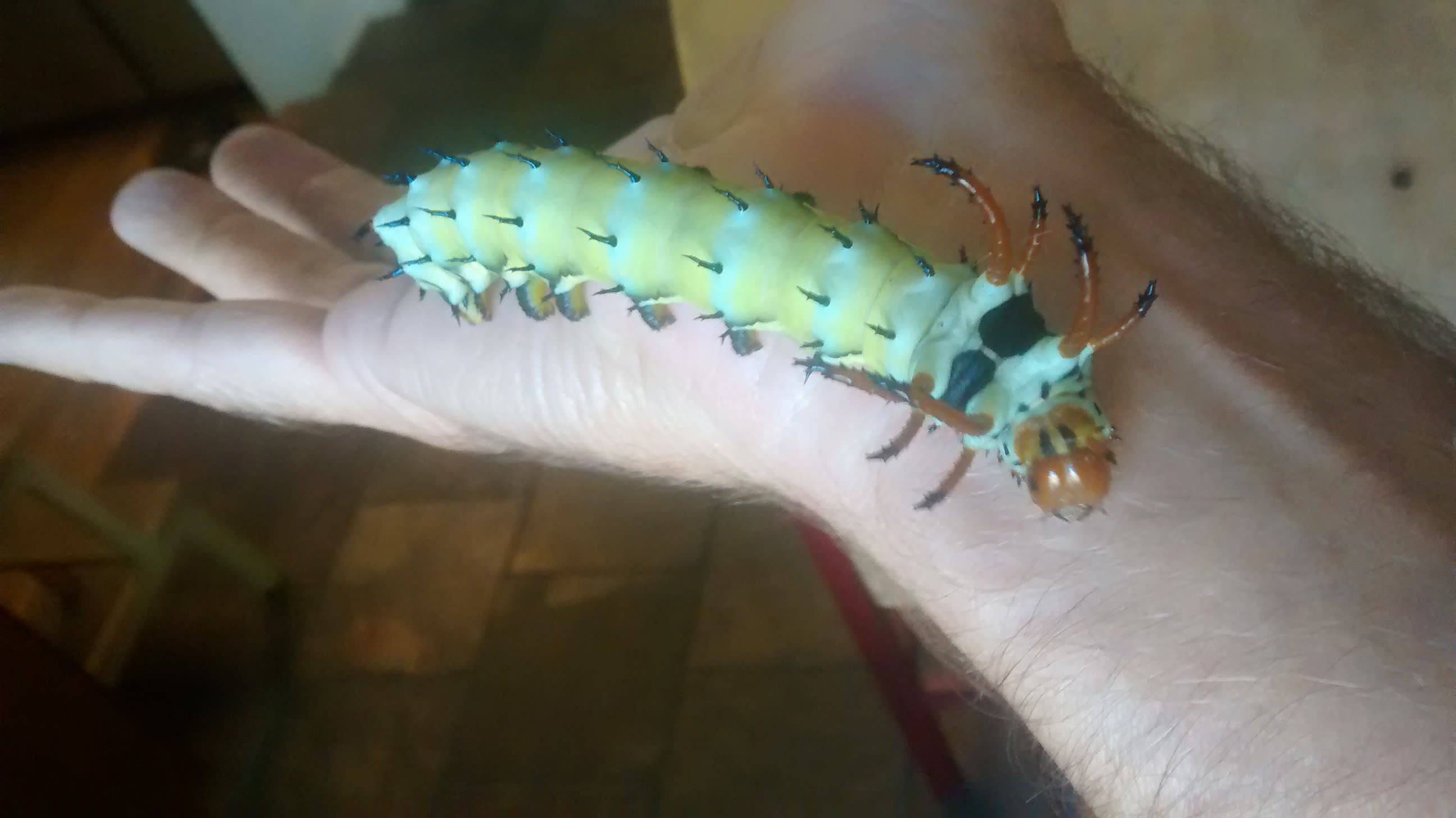 enter image description here