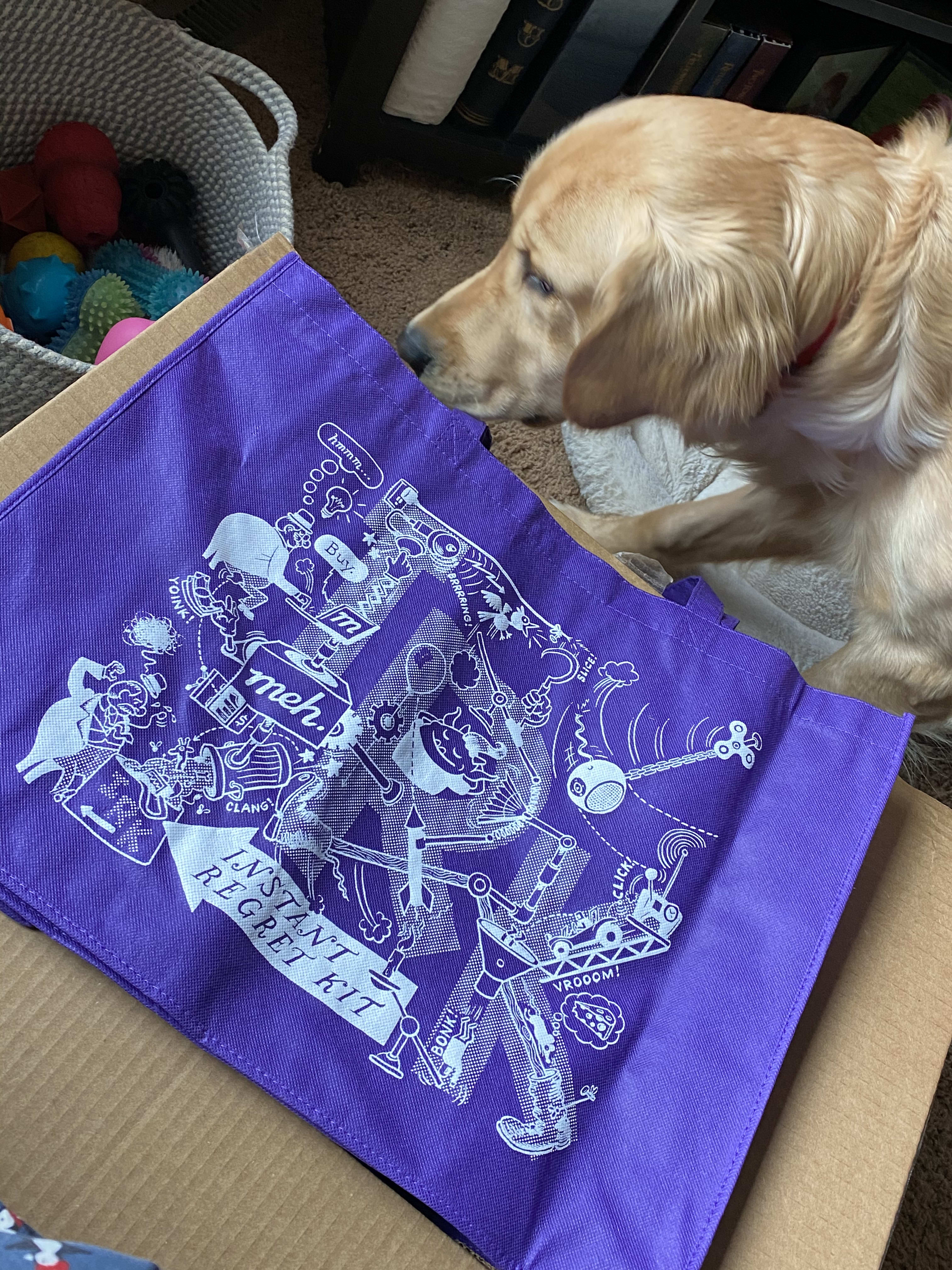 No regret here, Purple IRK bag,two really nice picture frames, a set of alarms I’m not sure what I’ll do with, an Instyler curling iron and a set of Shiraleah ornaments.  Way to go robots