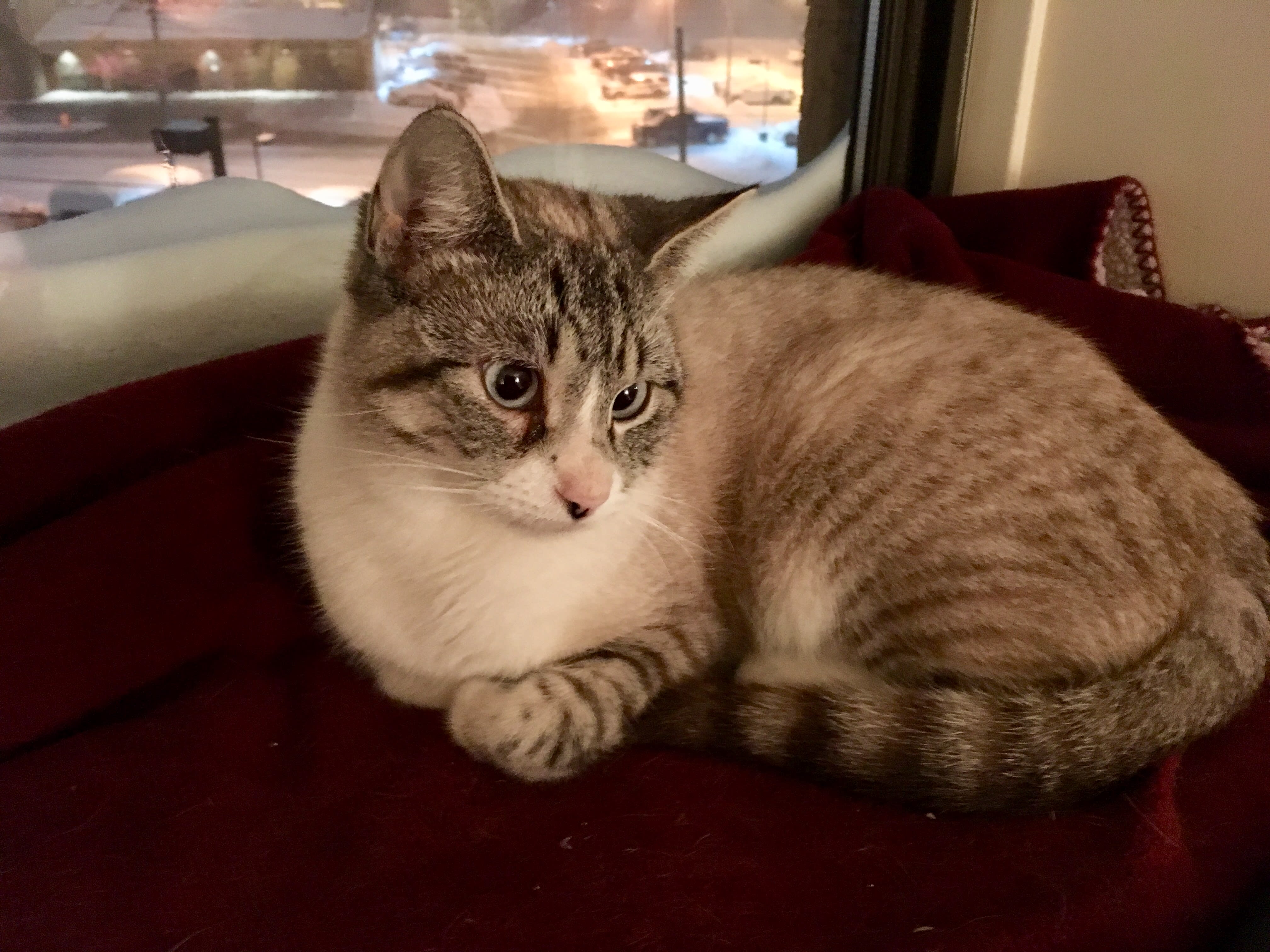 enter image description here