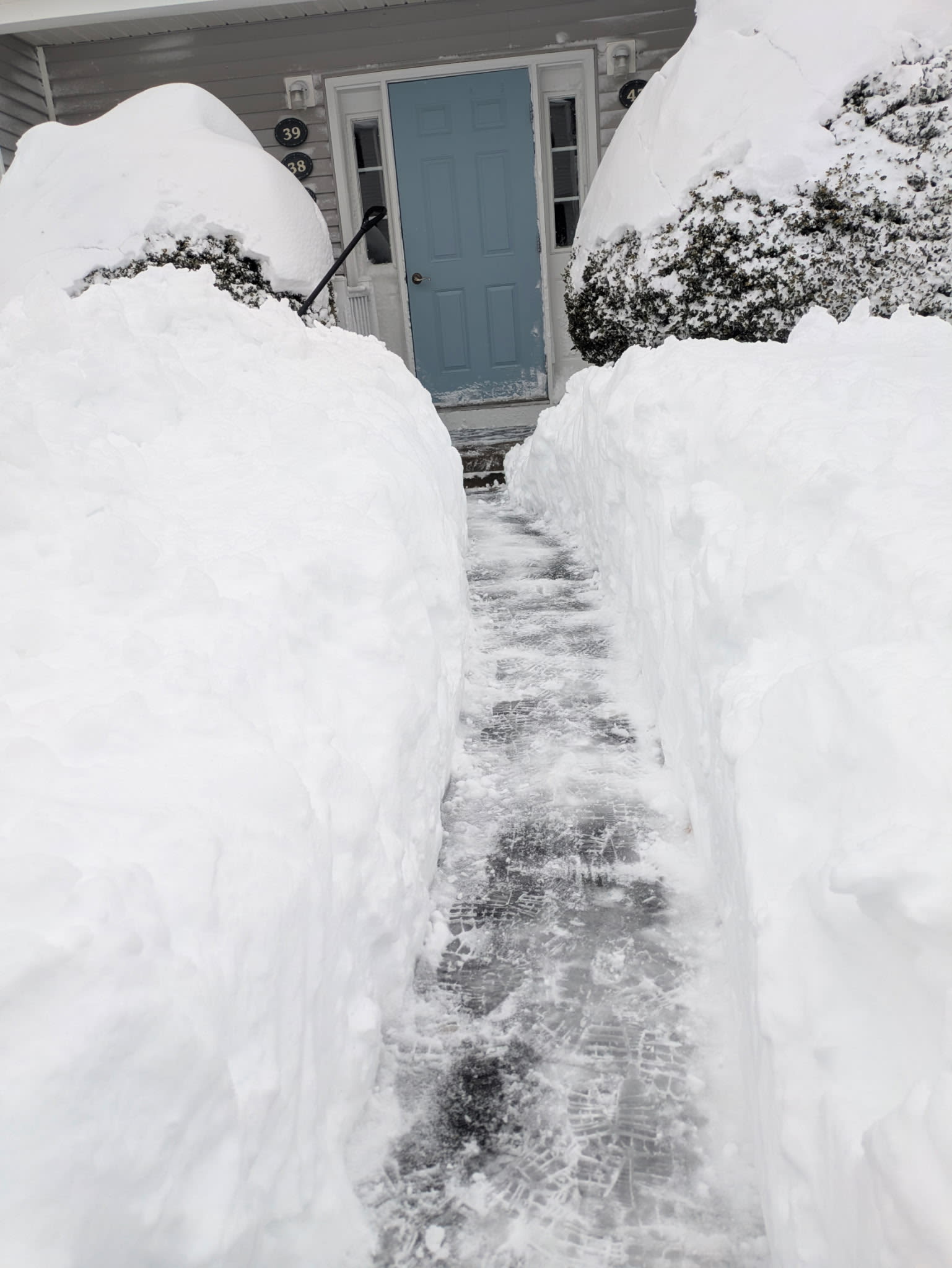 after my guy shoved a small strip to get out ❄️🪏