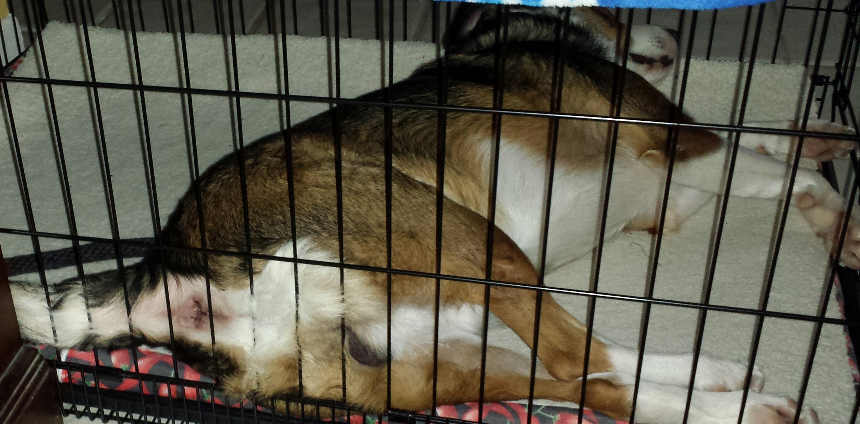 enter image description here