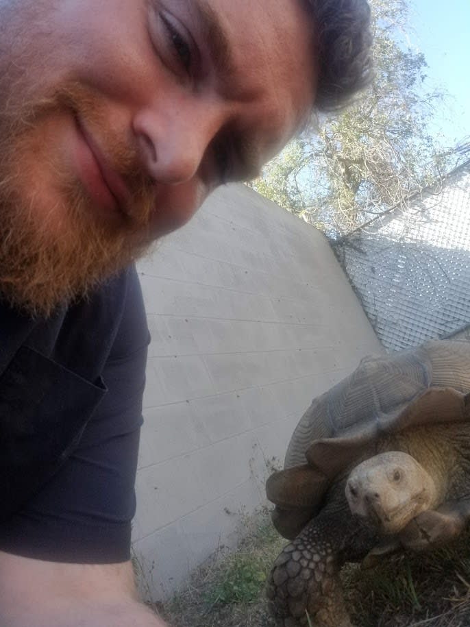 Moesha the Sulcata