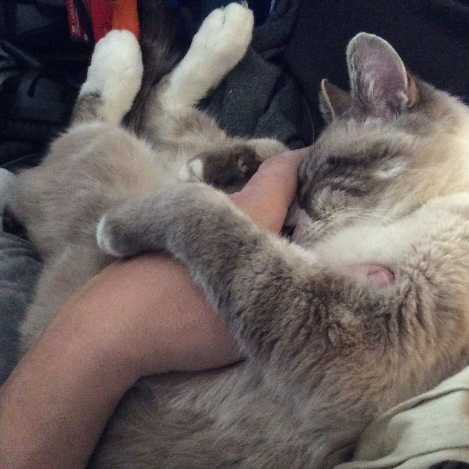 enter image description here