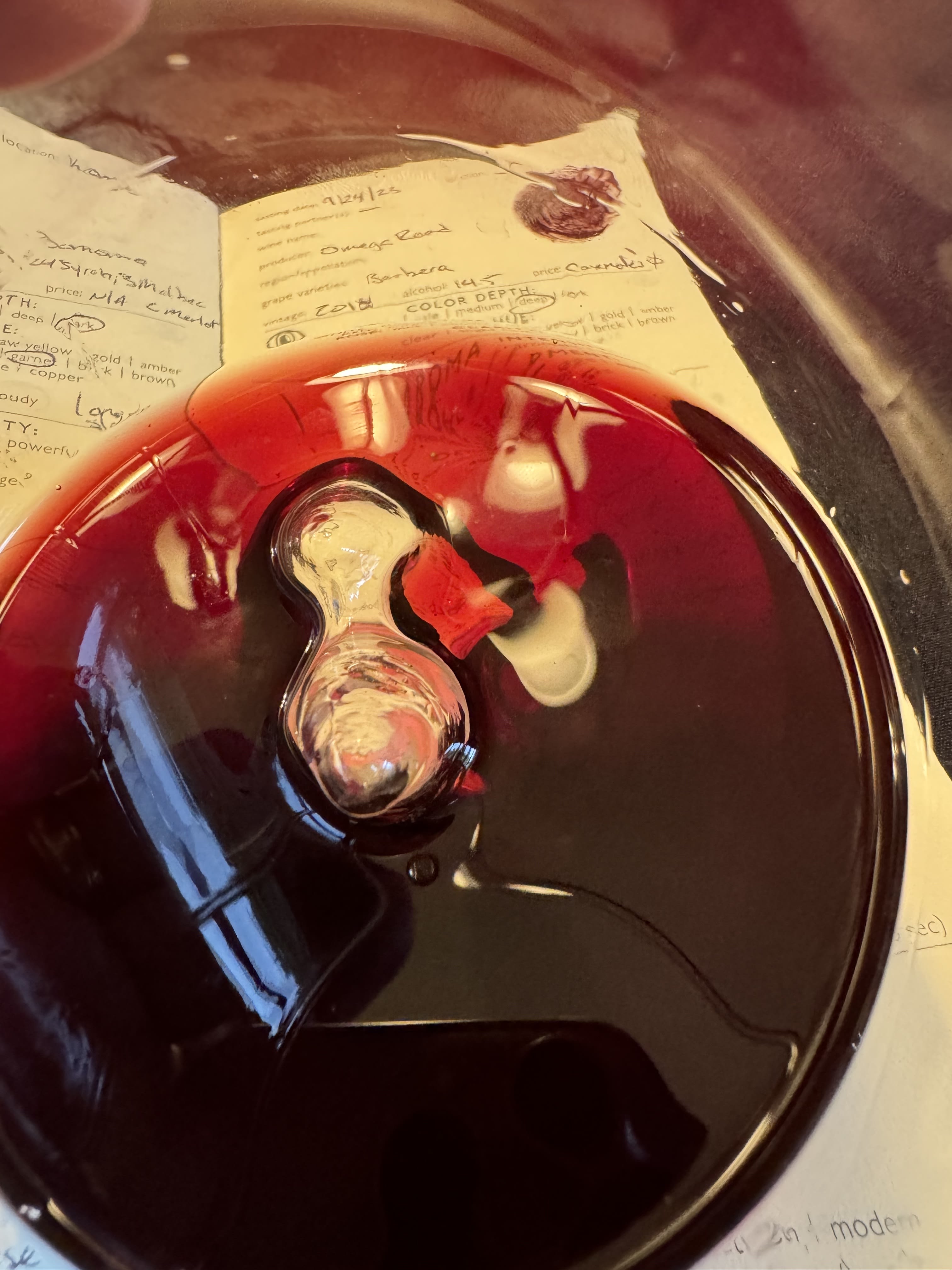 2018 Omega Road Winery Barbera in wine glass