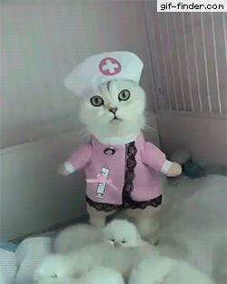 cat nurse