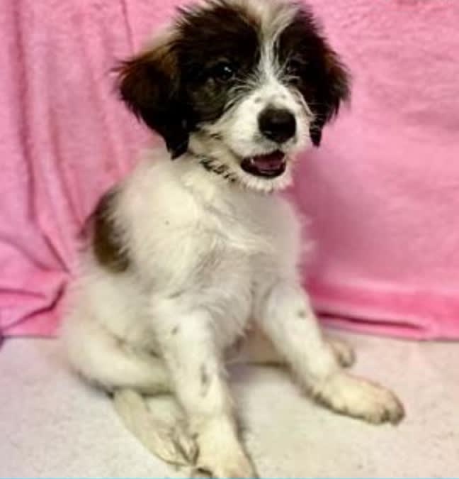 enter image description here