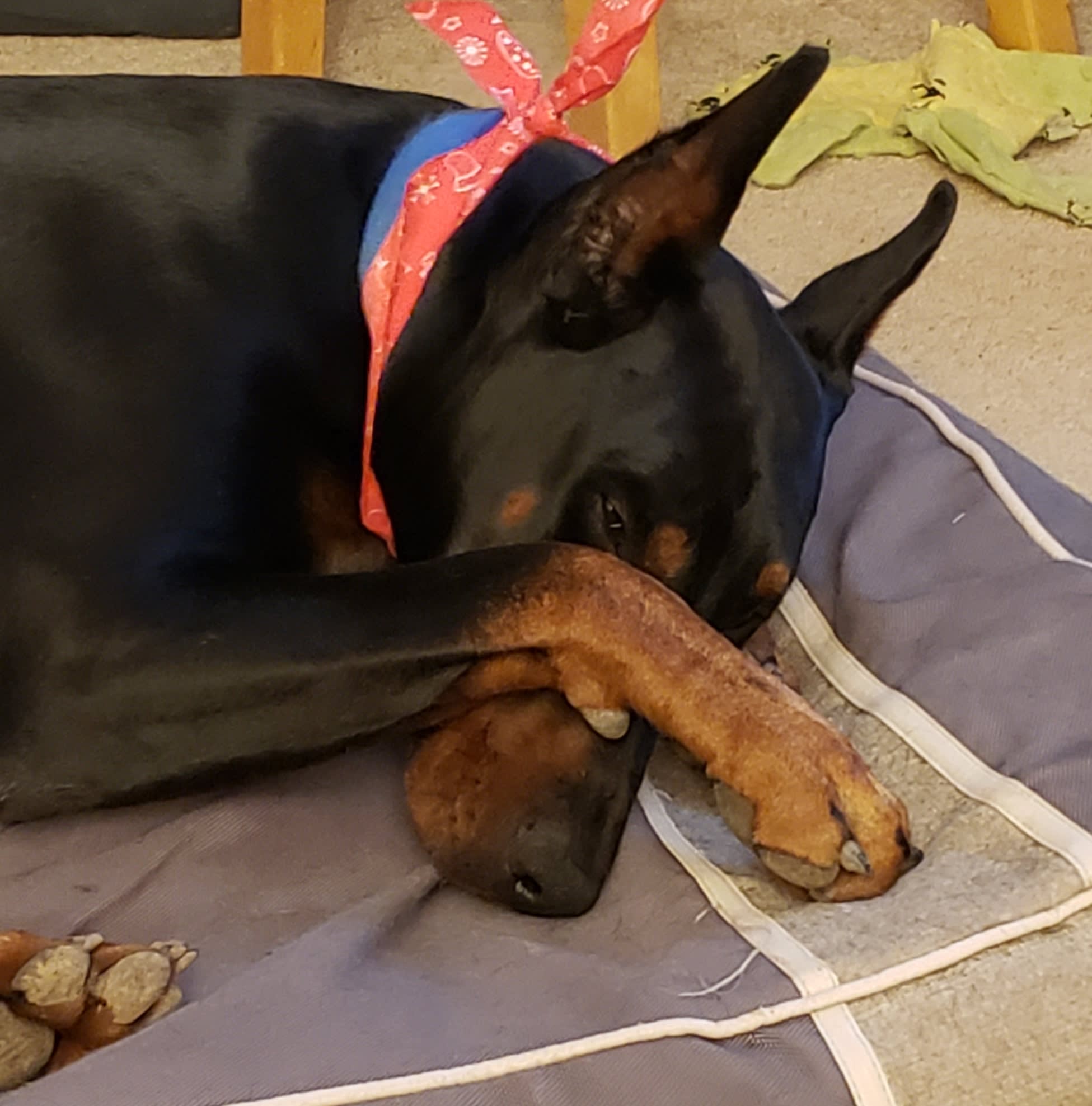 Jack says, "Aw shucks!"