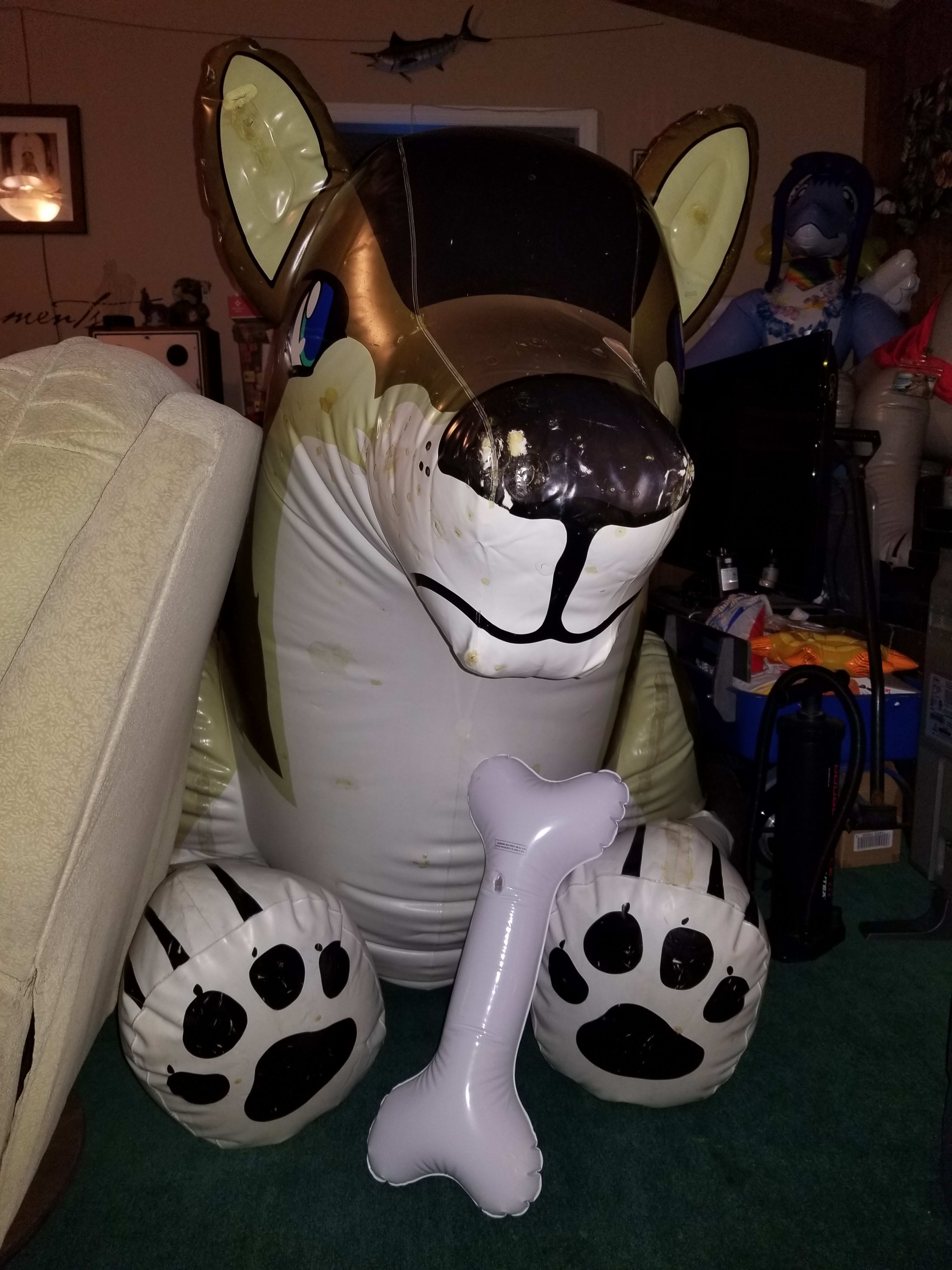 He's a 'pet', of sorts!