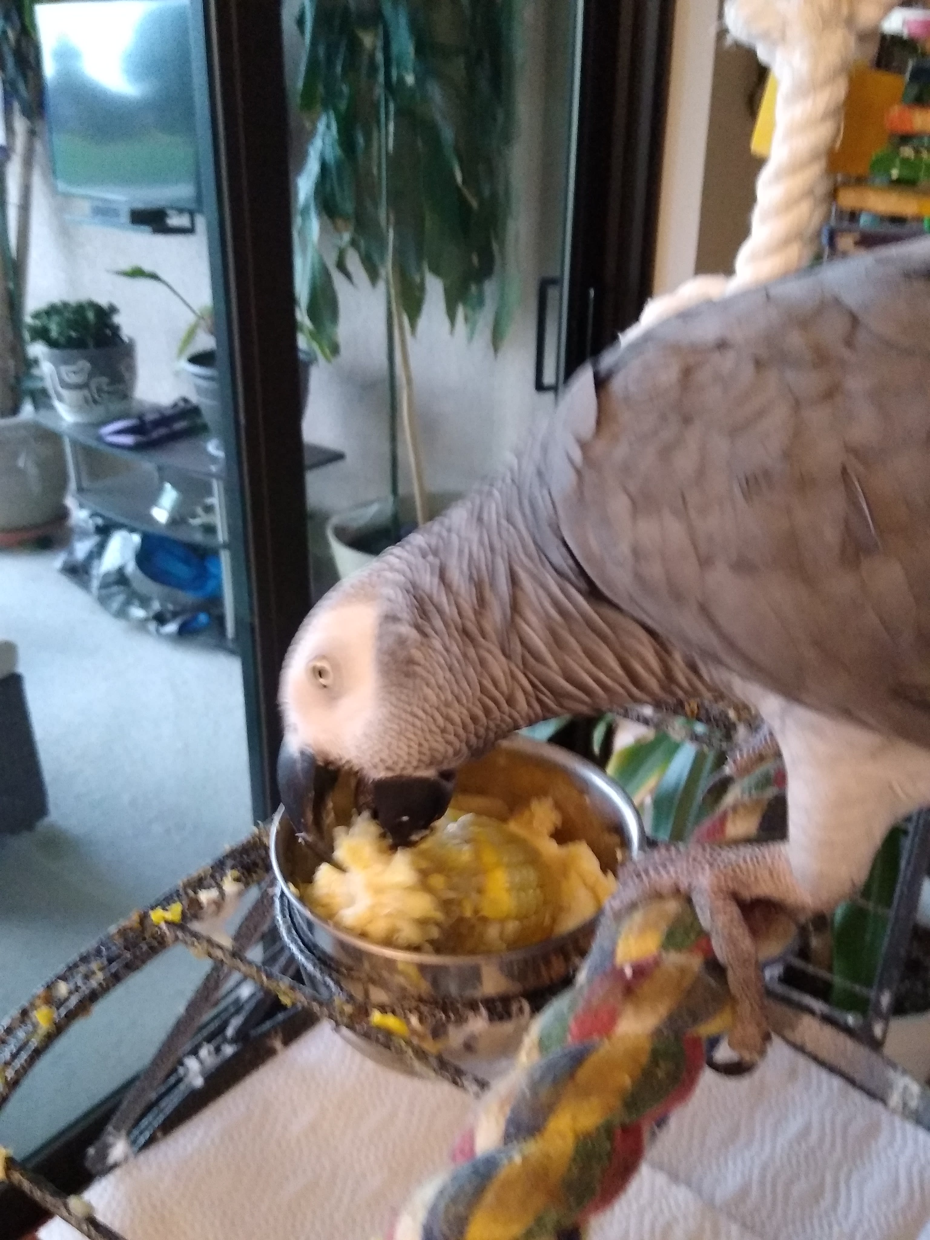 enter image description here