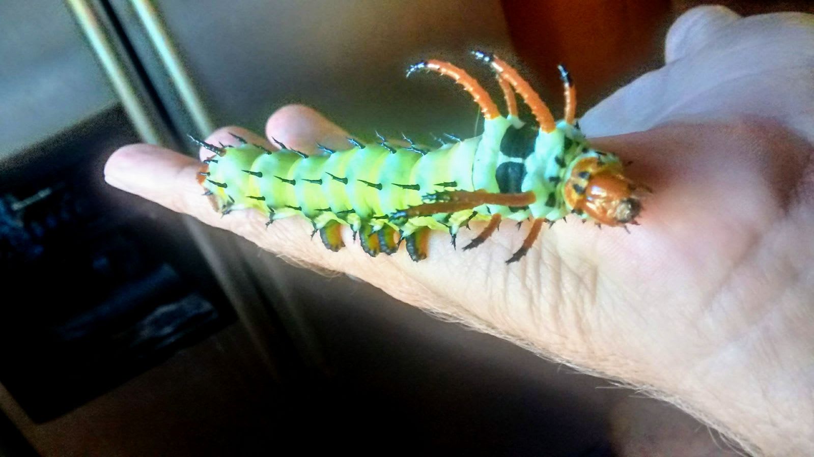 enter image description here