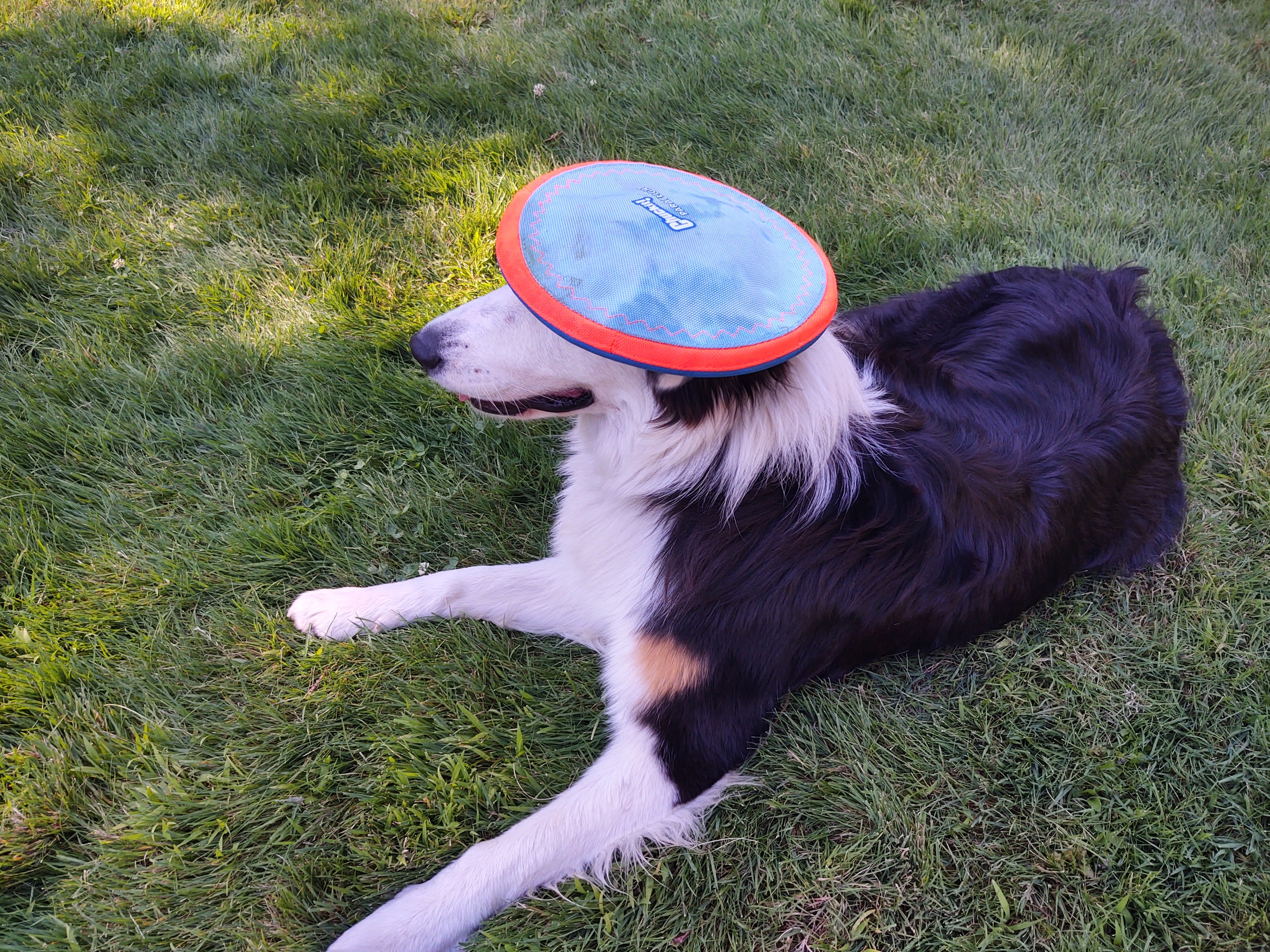 When Jasper ordered a Napa wine