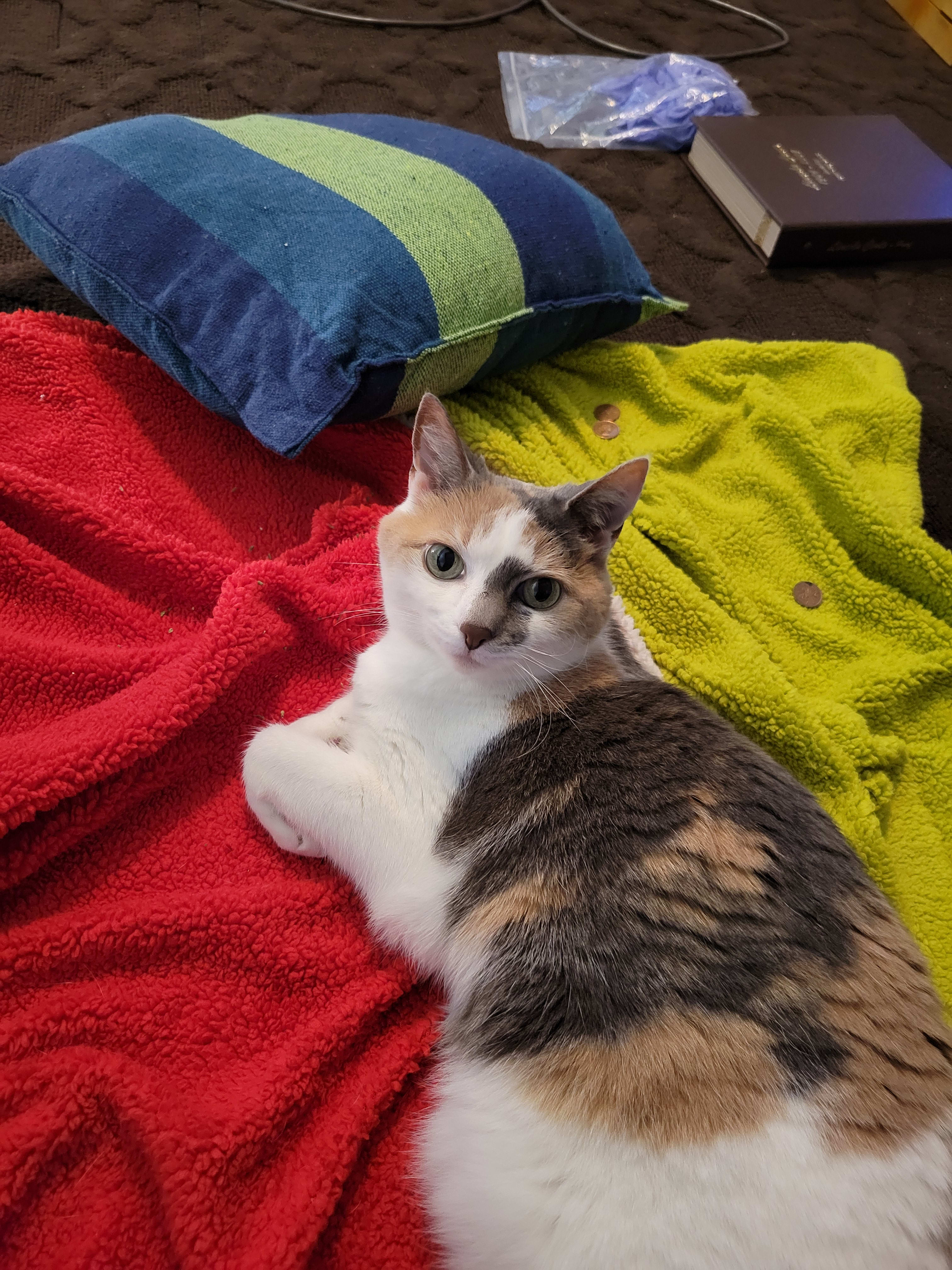 enter image description here