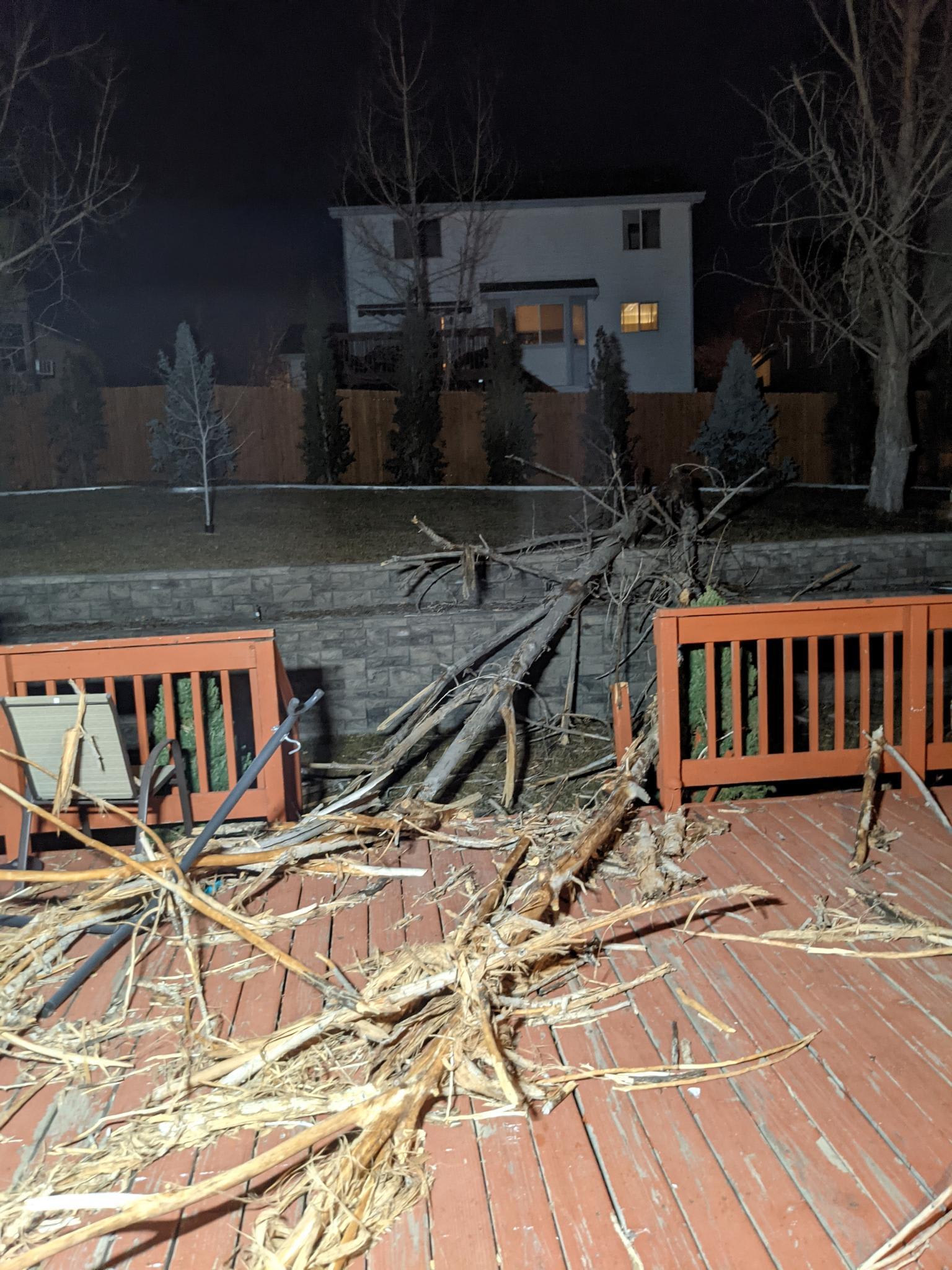 A fallen tree shattered and in pieces on a patio deck