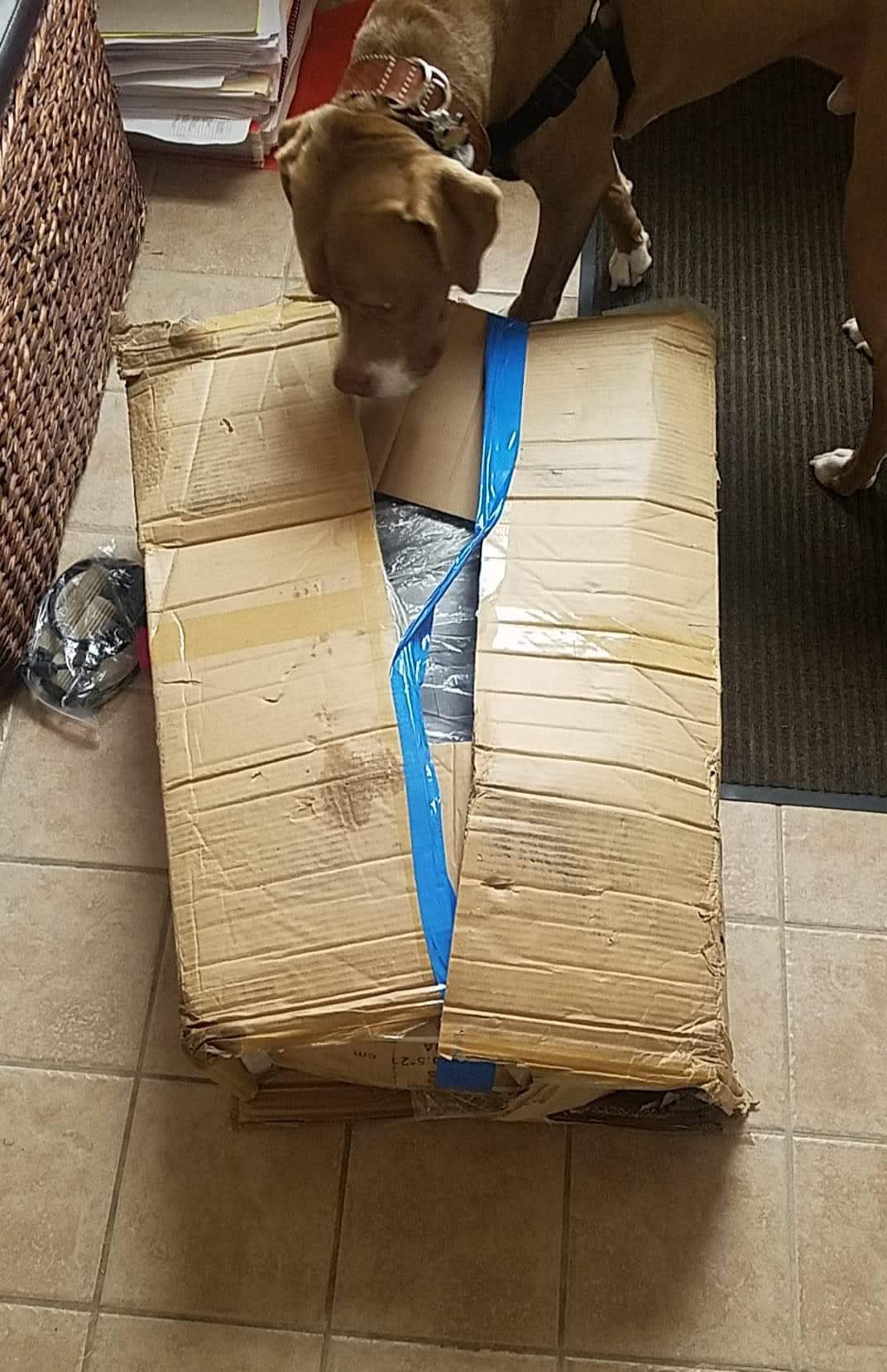 Well this isn't off to a good start