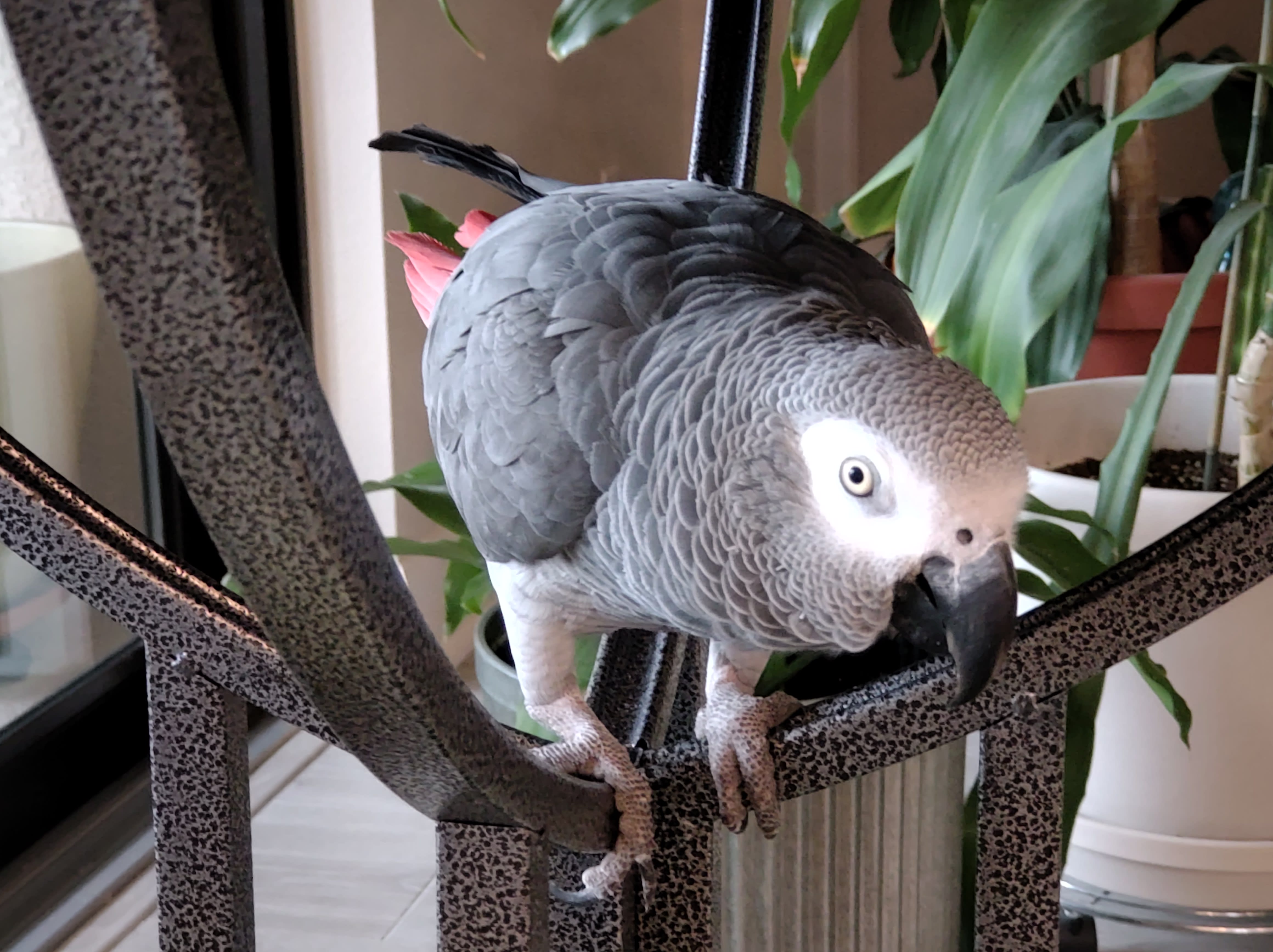 enter image description here