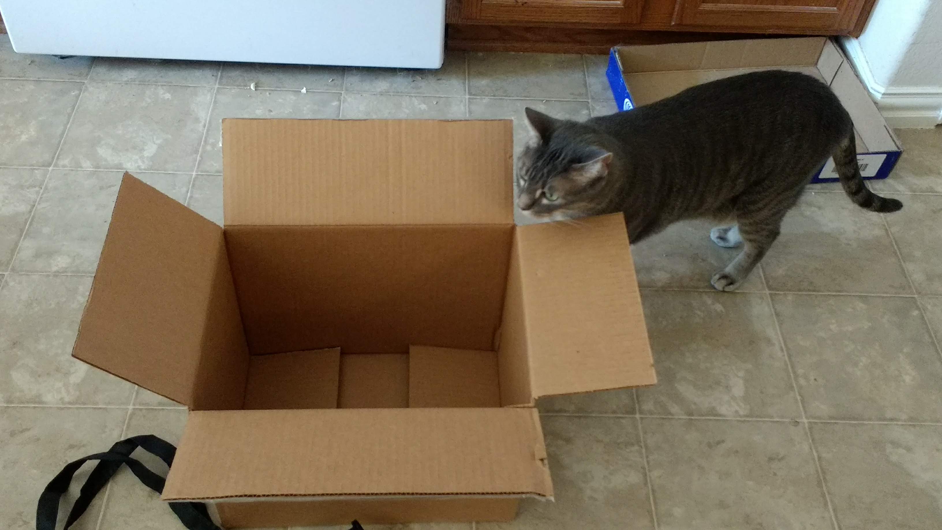 Here's Nix checking it out