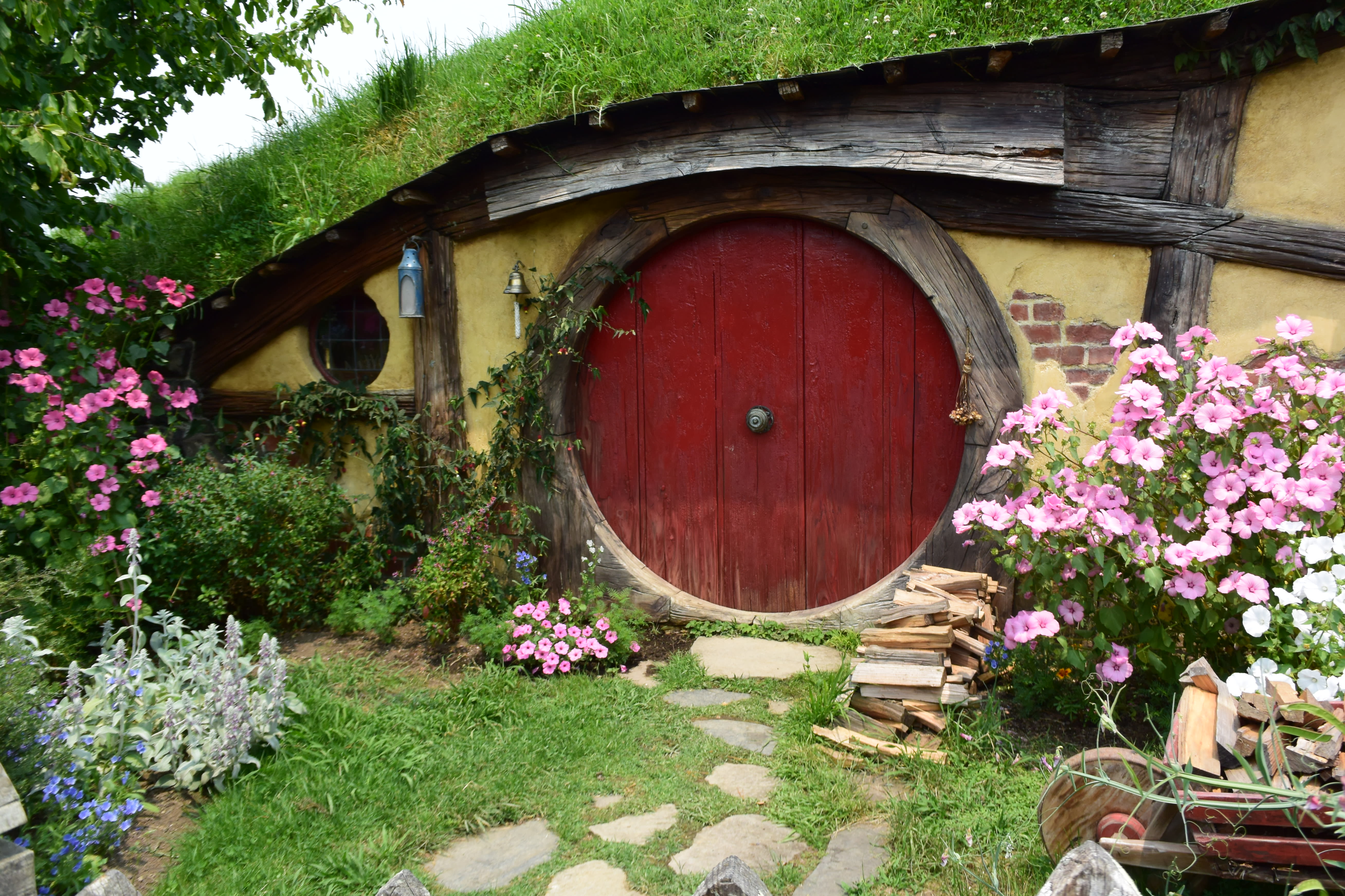 enter image description here