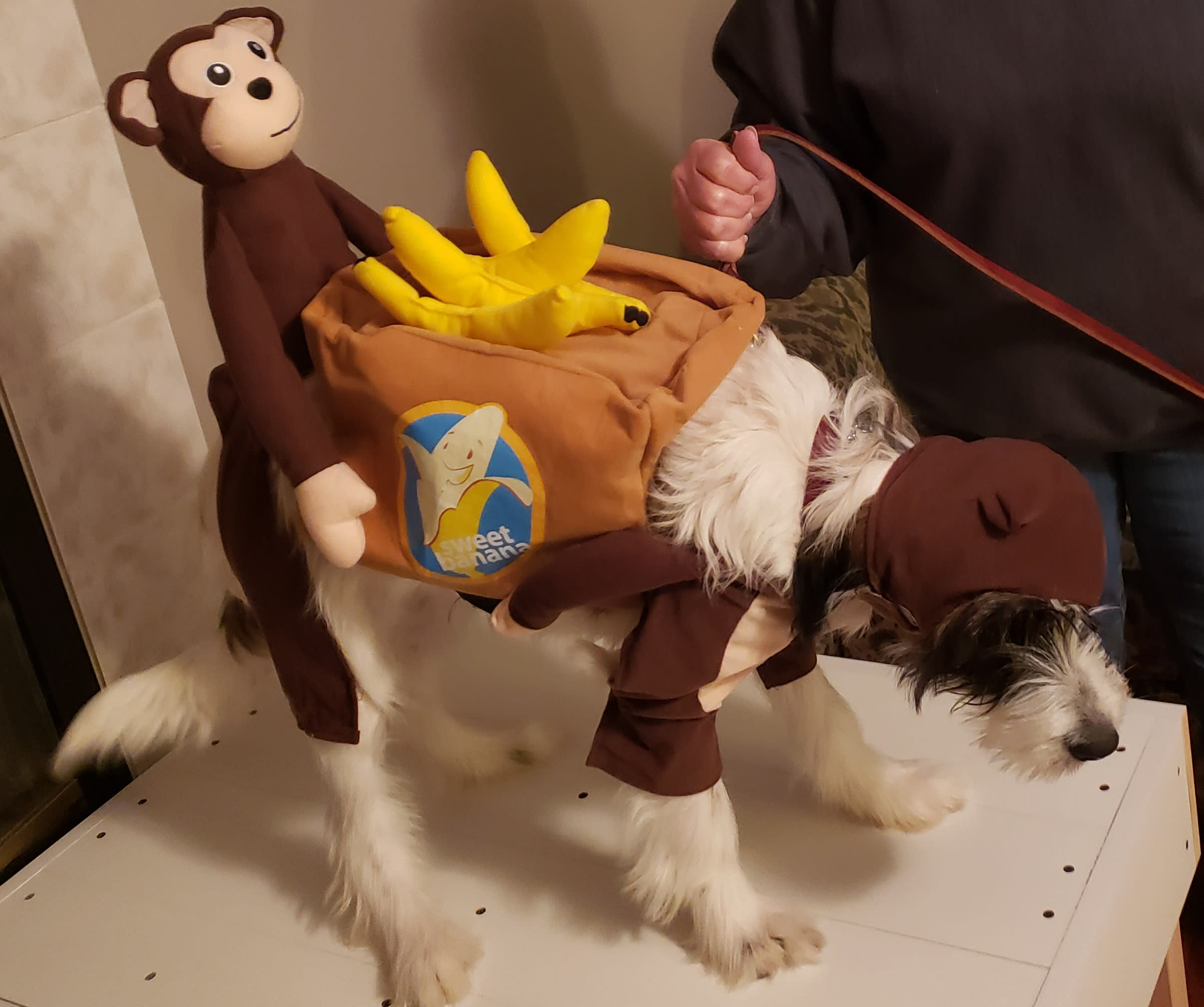 enter image description here