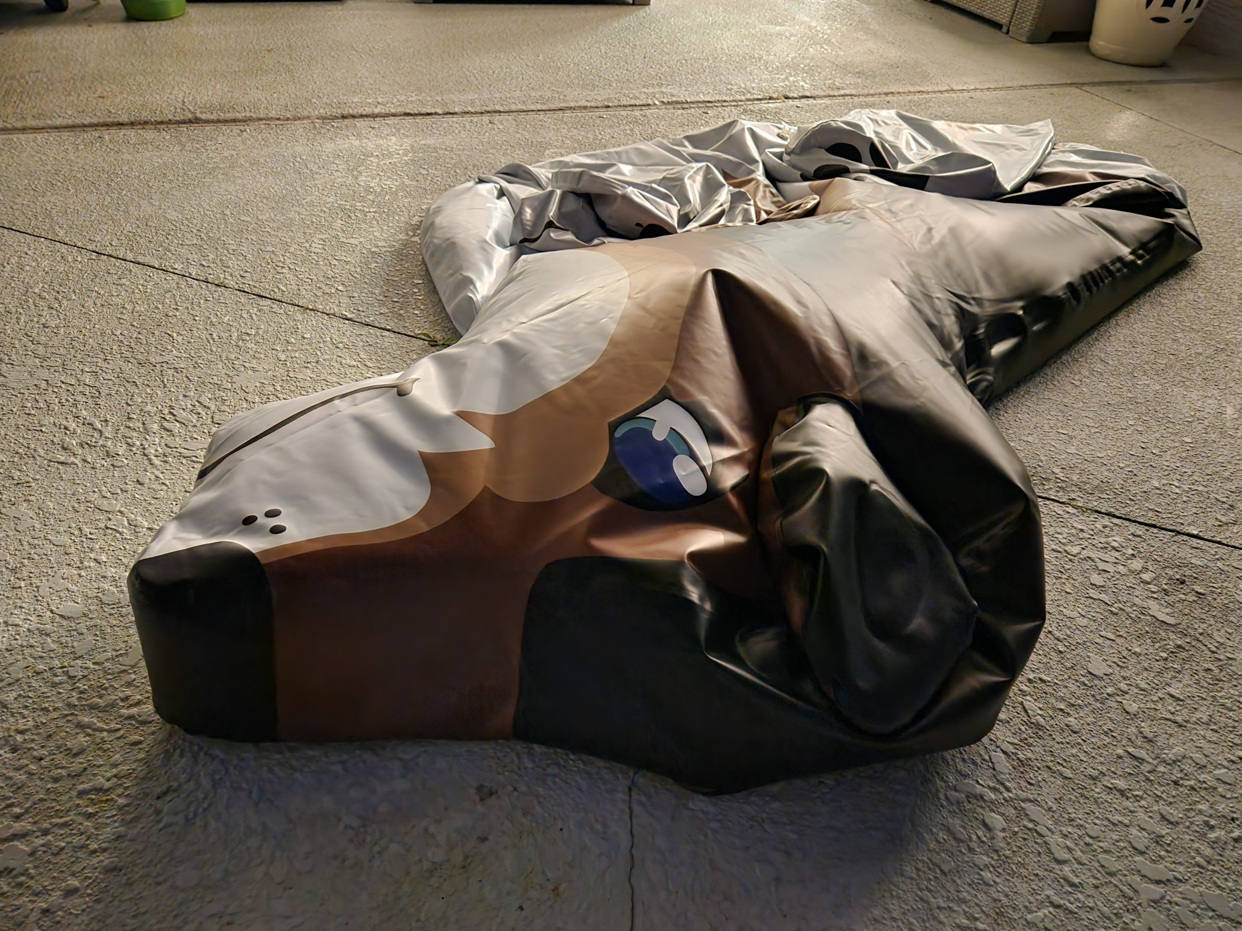 Deflating pooltoy wolf