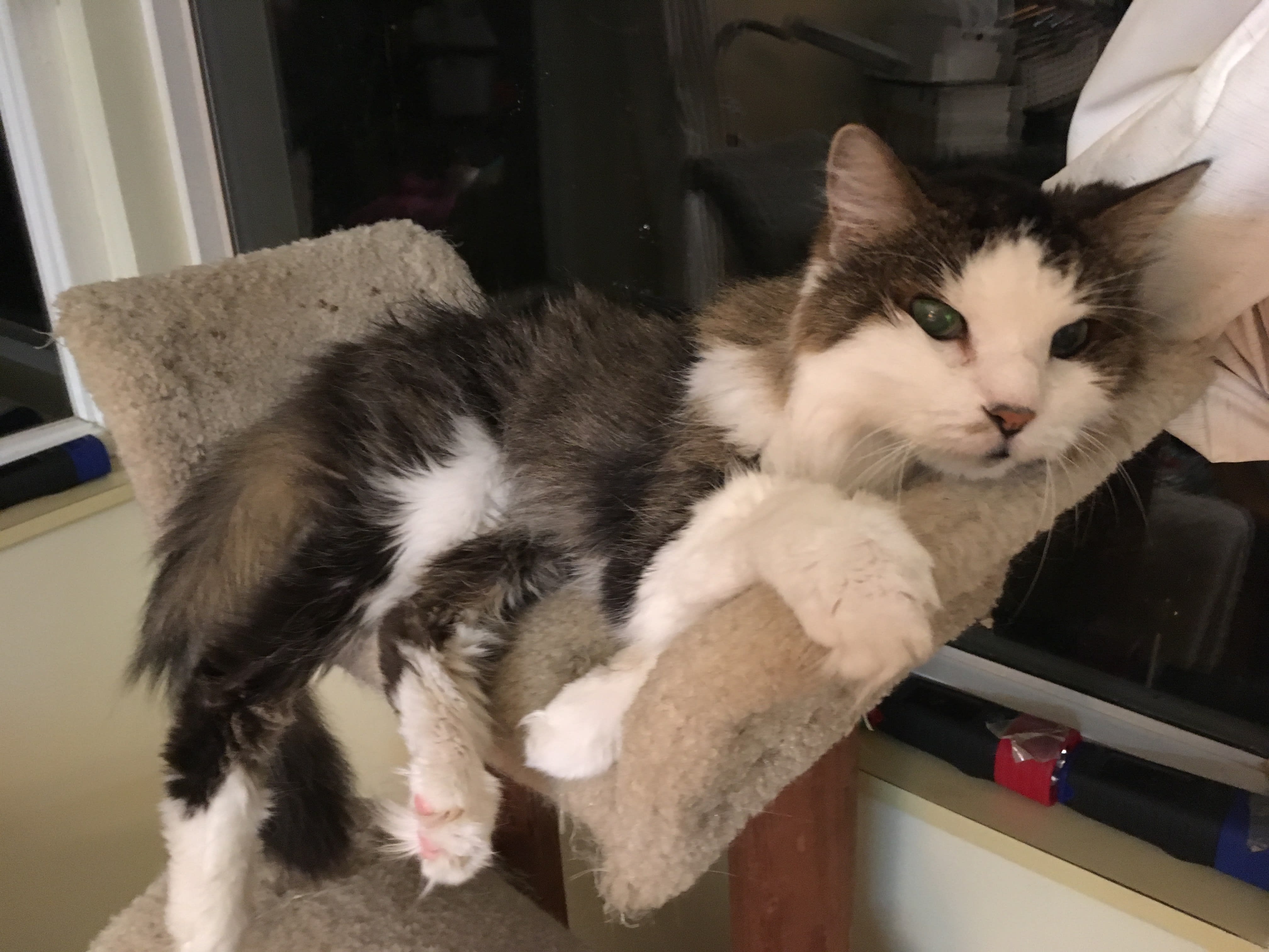 enter image description here