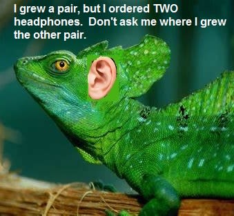 organic-befuddled-lizard