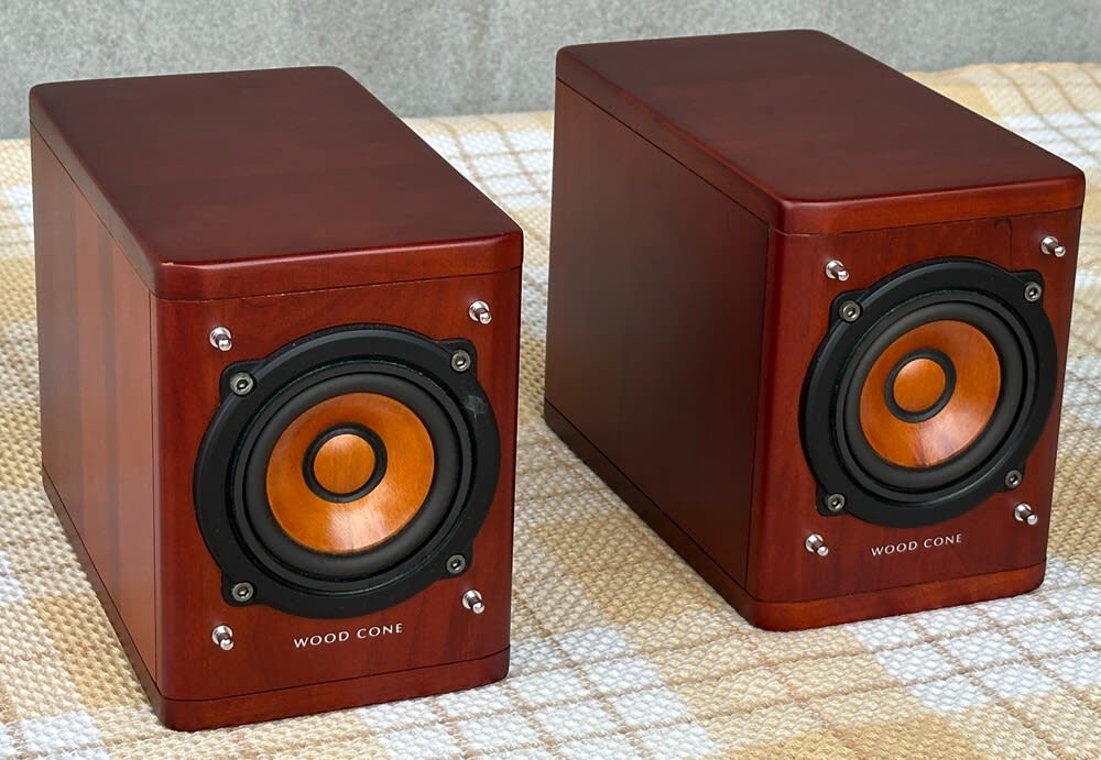 JVC SP-EXA1 wood cone speakers