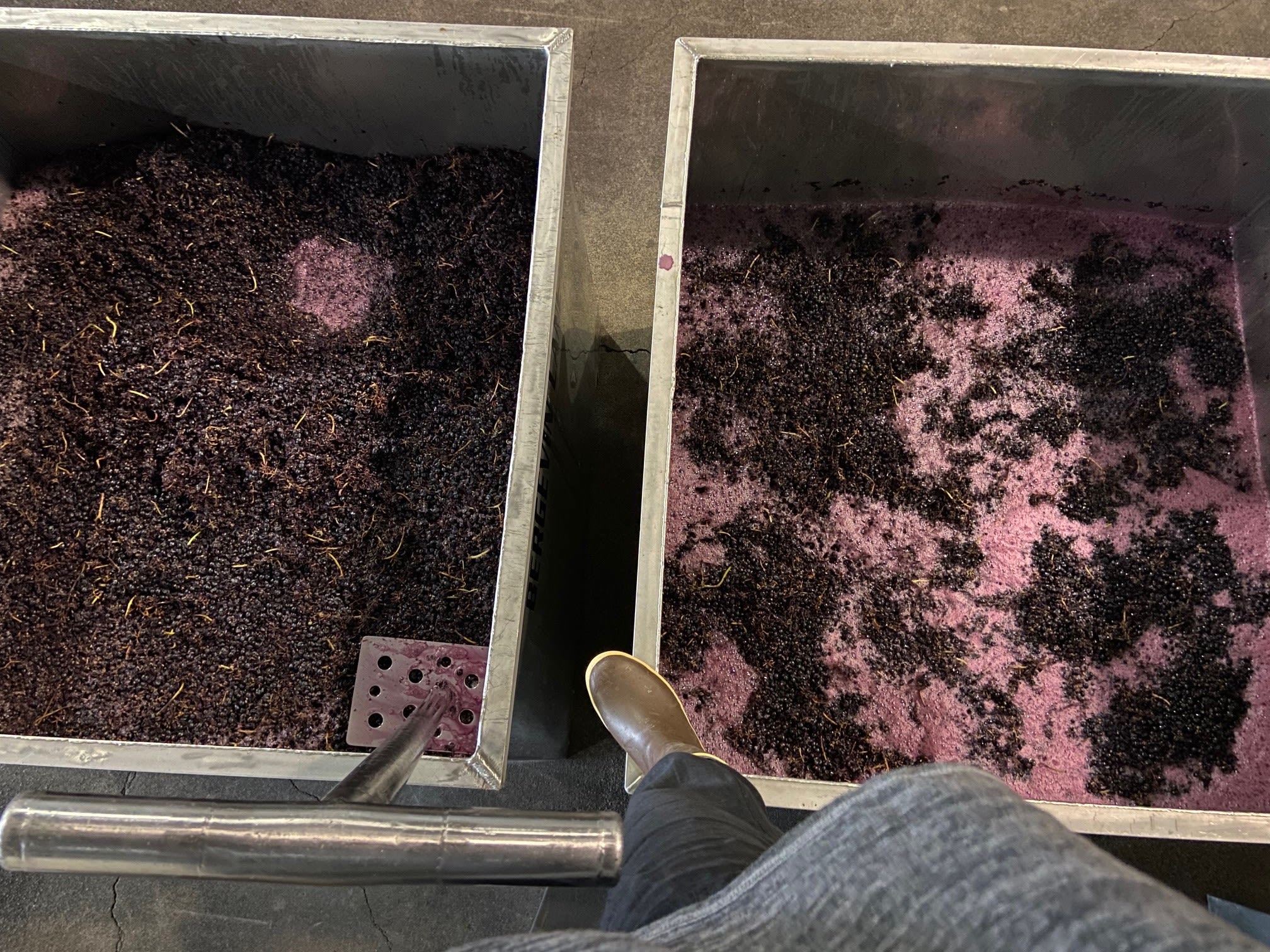 Whole and partial whole cluster ferments