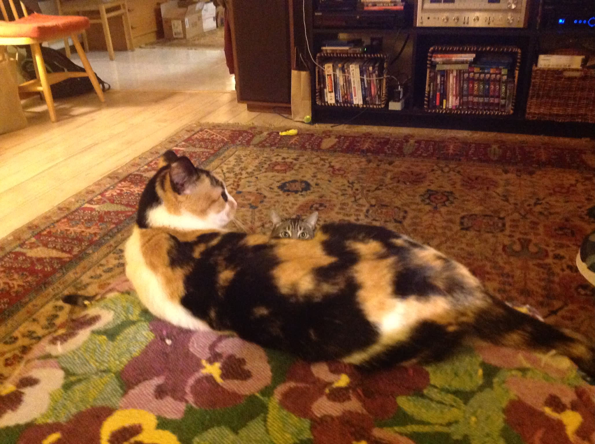 enter image description here