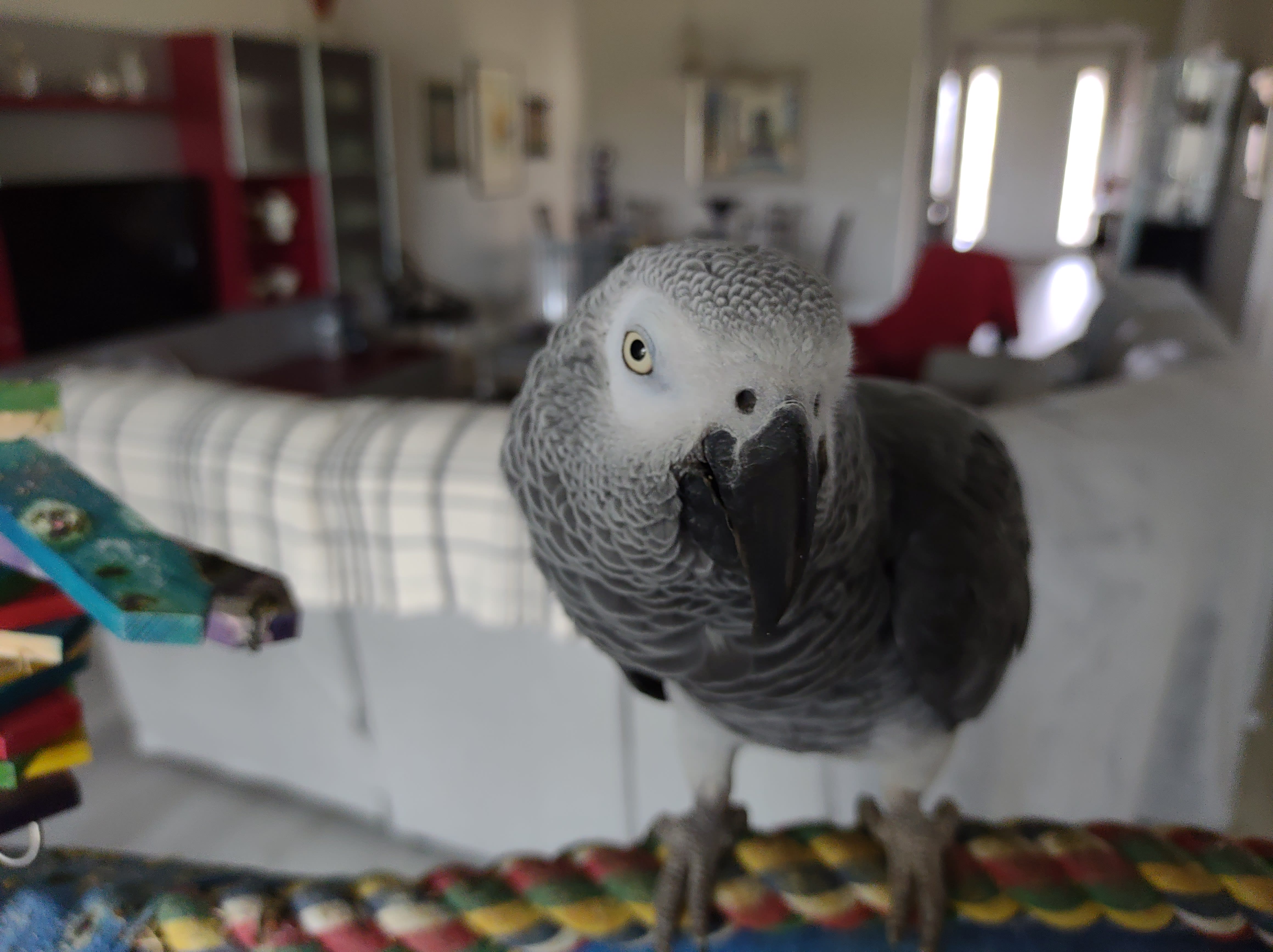 enter image description here