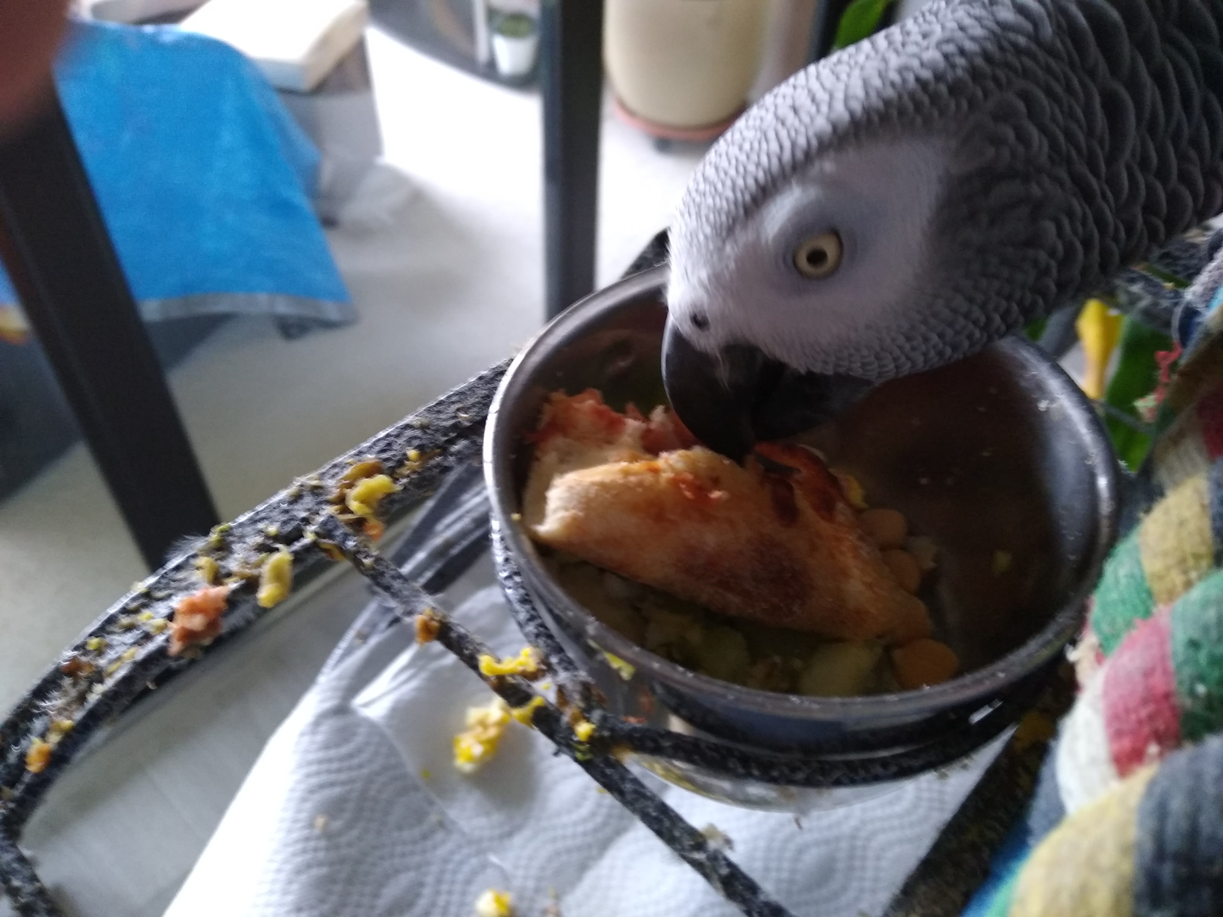 enter image description here