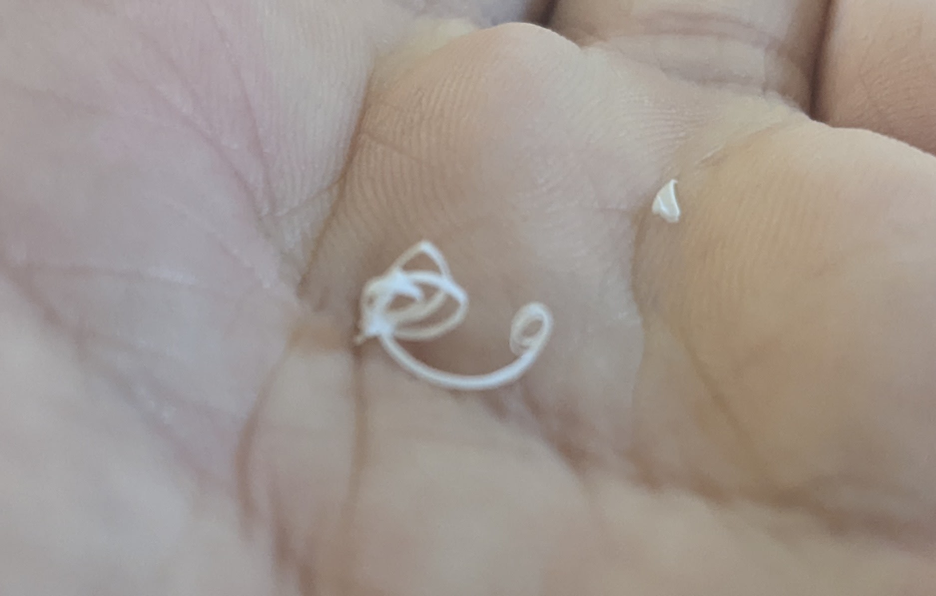 Meh Vremi Programmable Automatic Pet Feeder with Voice Recording Feature