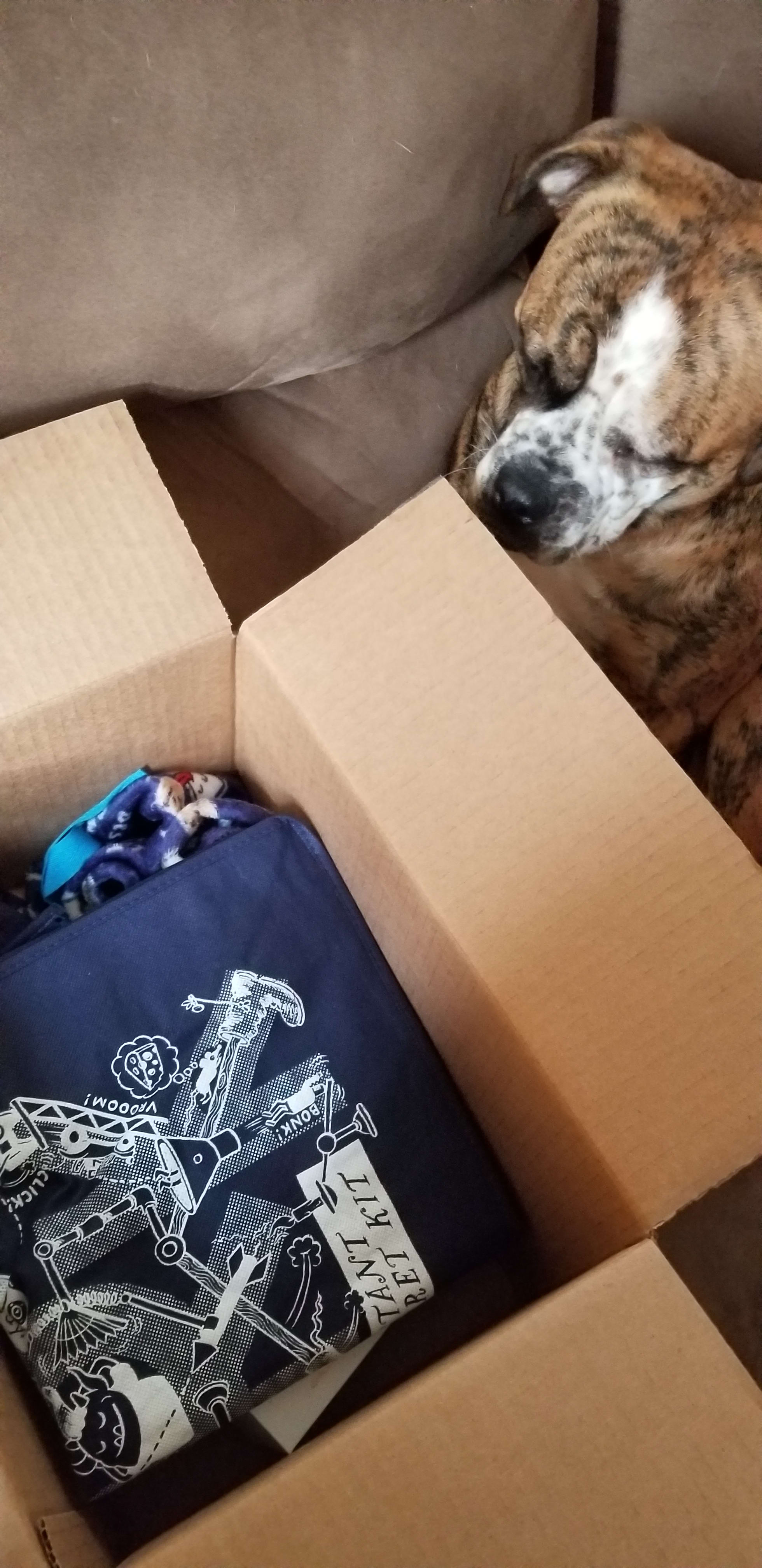 Meh bag, with no monies, a glass storage container, super comfy jam jam bottoms for the Grandson, screen cleaner, and something to firm up my neck.I would've been delighted with just the bag, so everything else is just a bonus!Thanks, meh; you made my day!