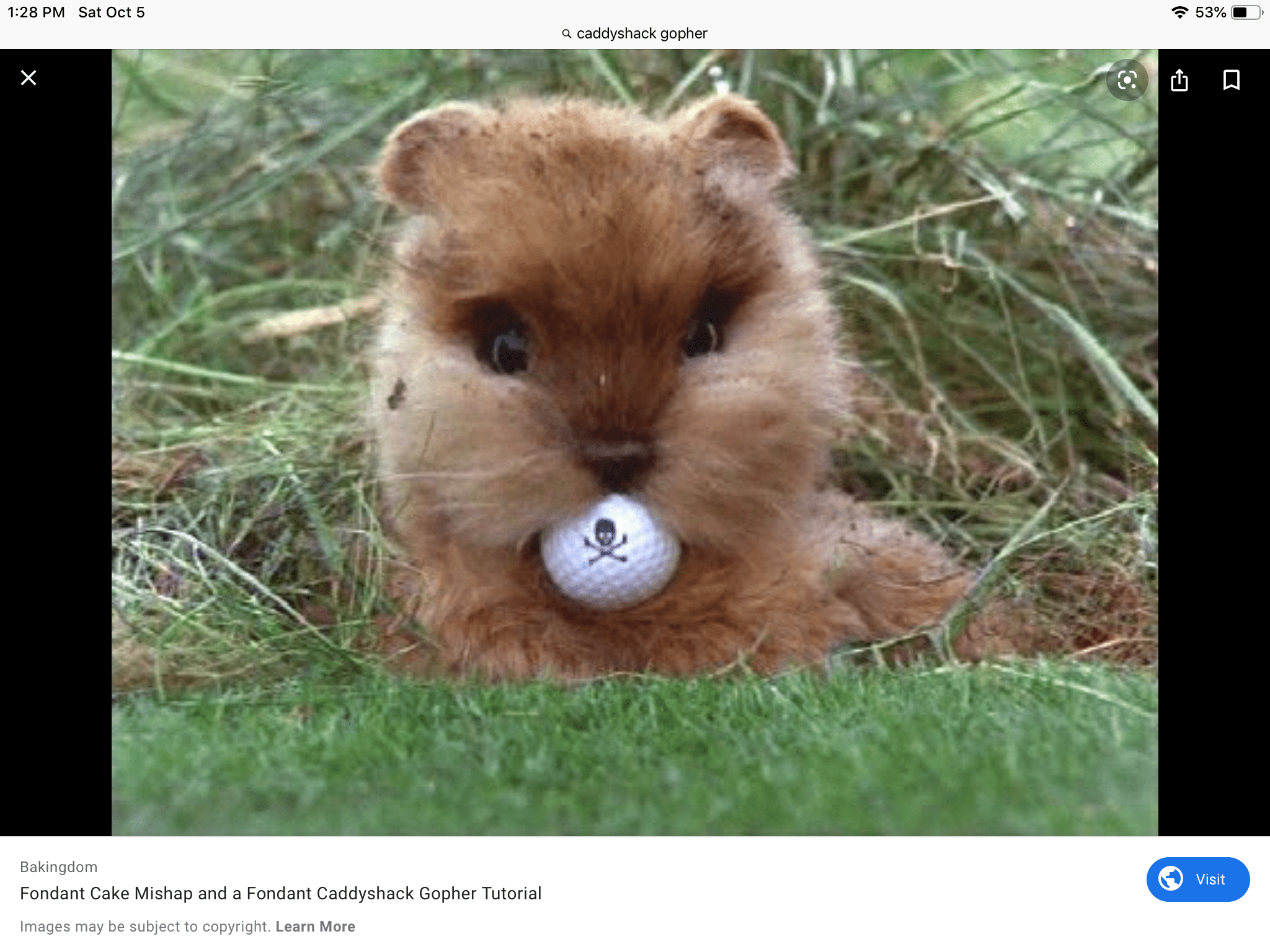 we need to shoot all the golphers