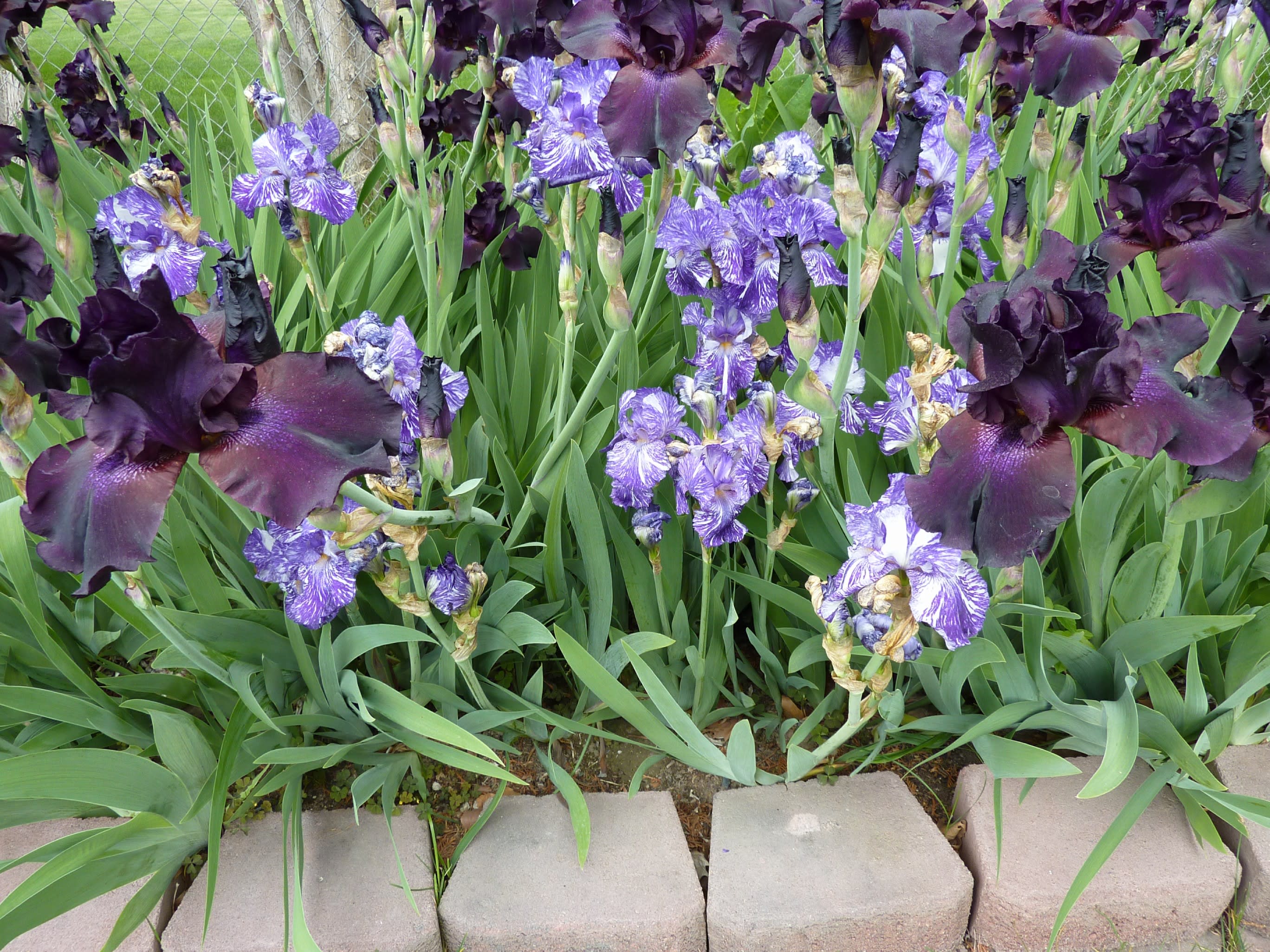 enter image description here