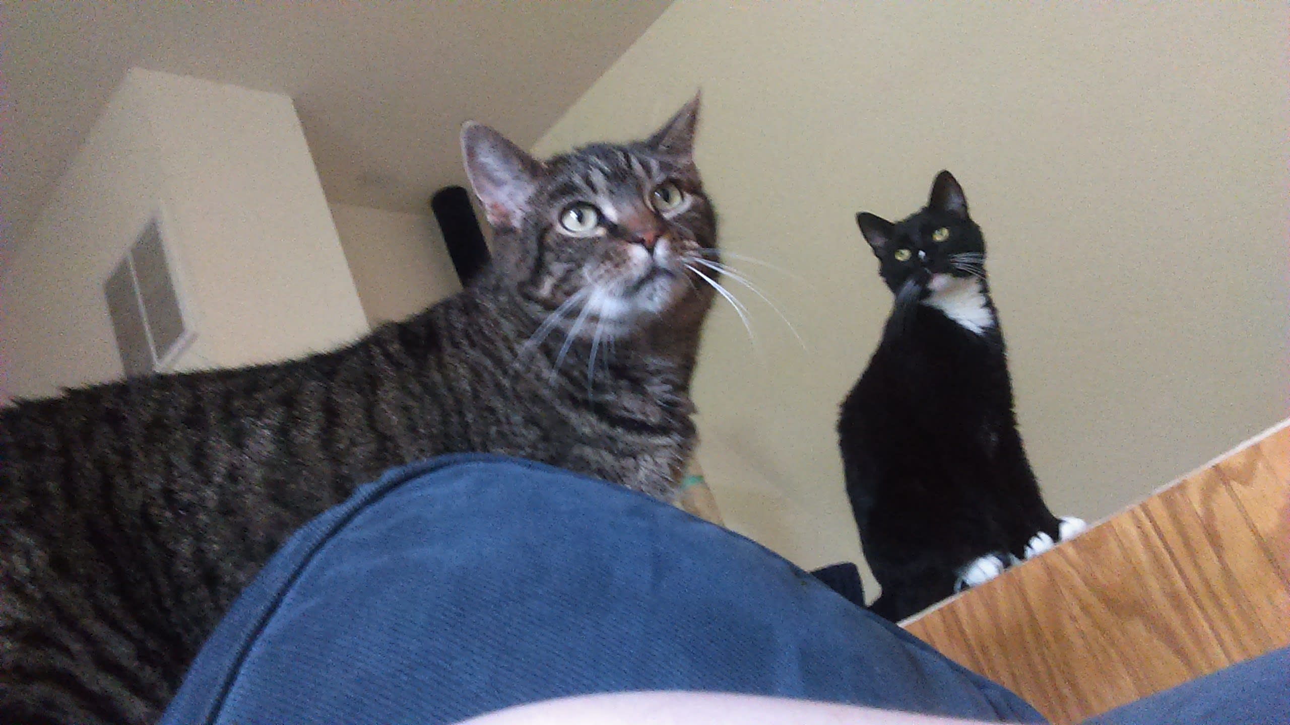 enter image description here