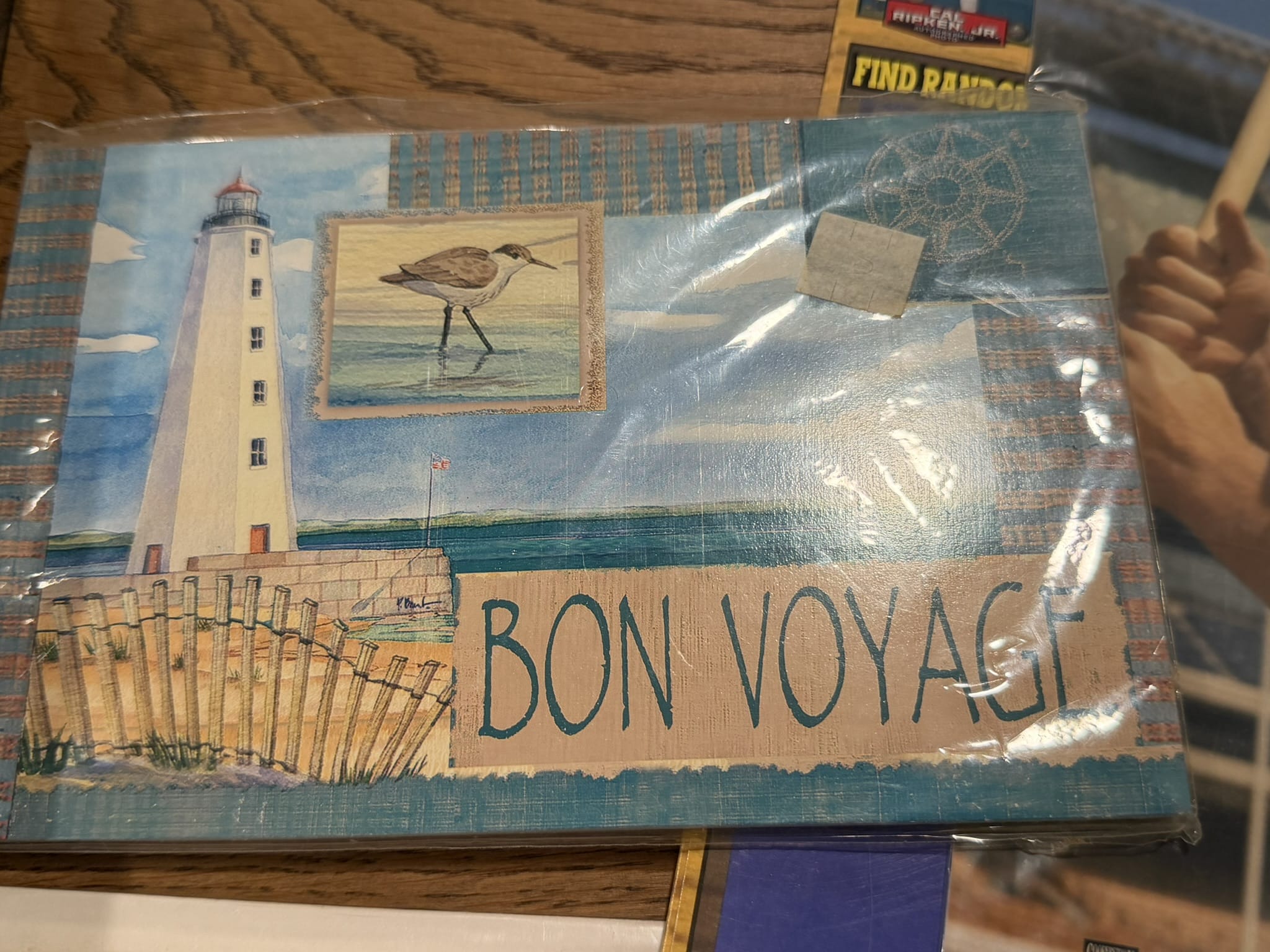 bonvoyage