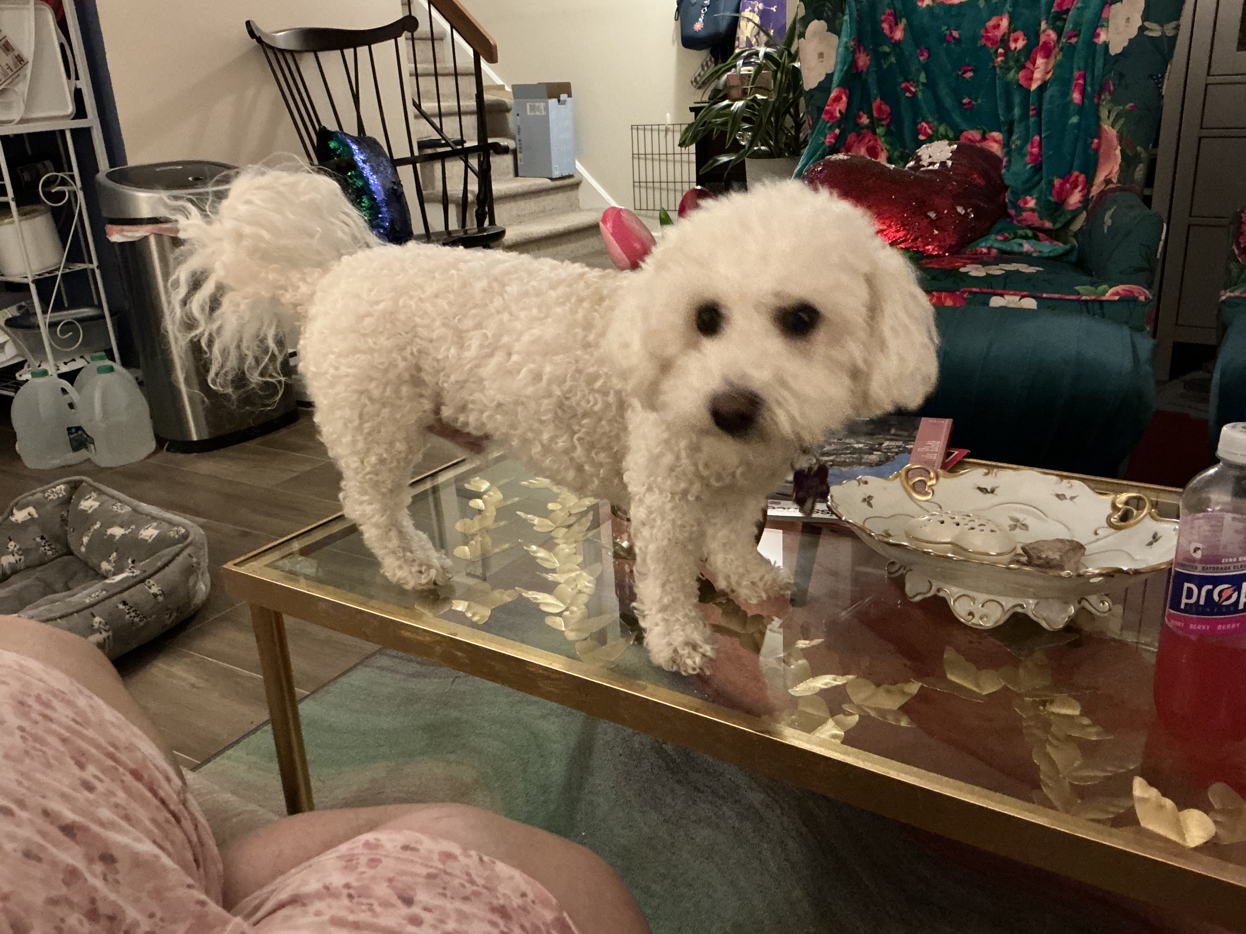 enter image description here