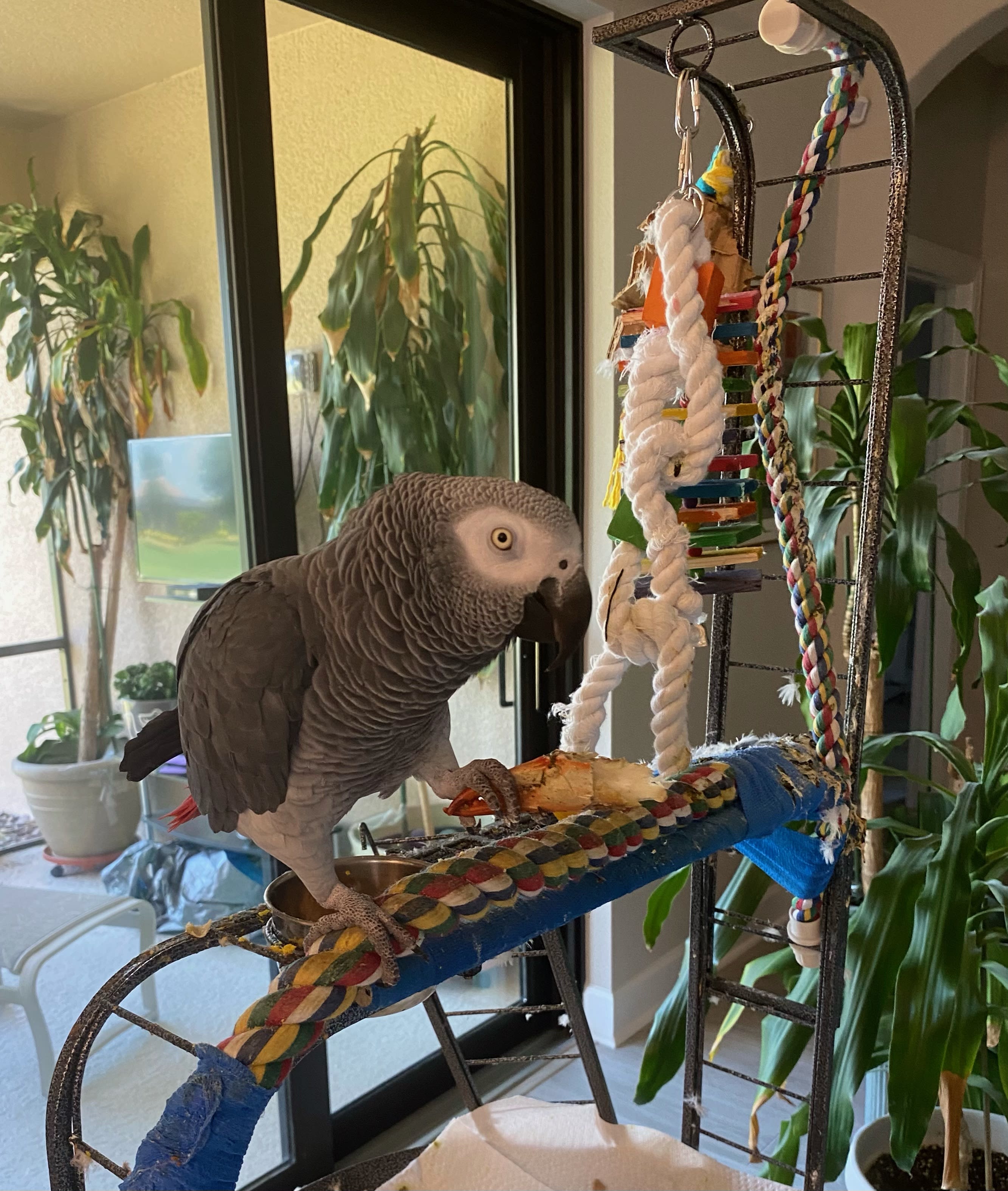 enter image description here