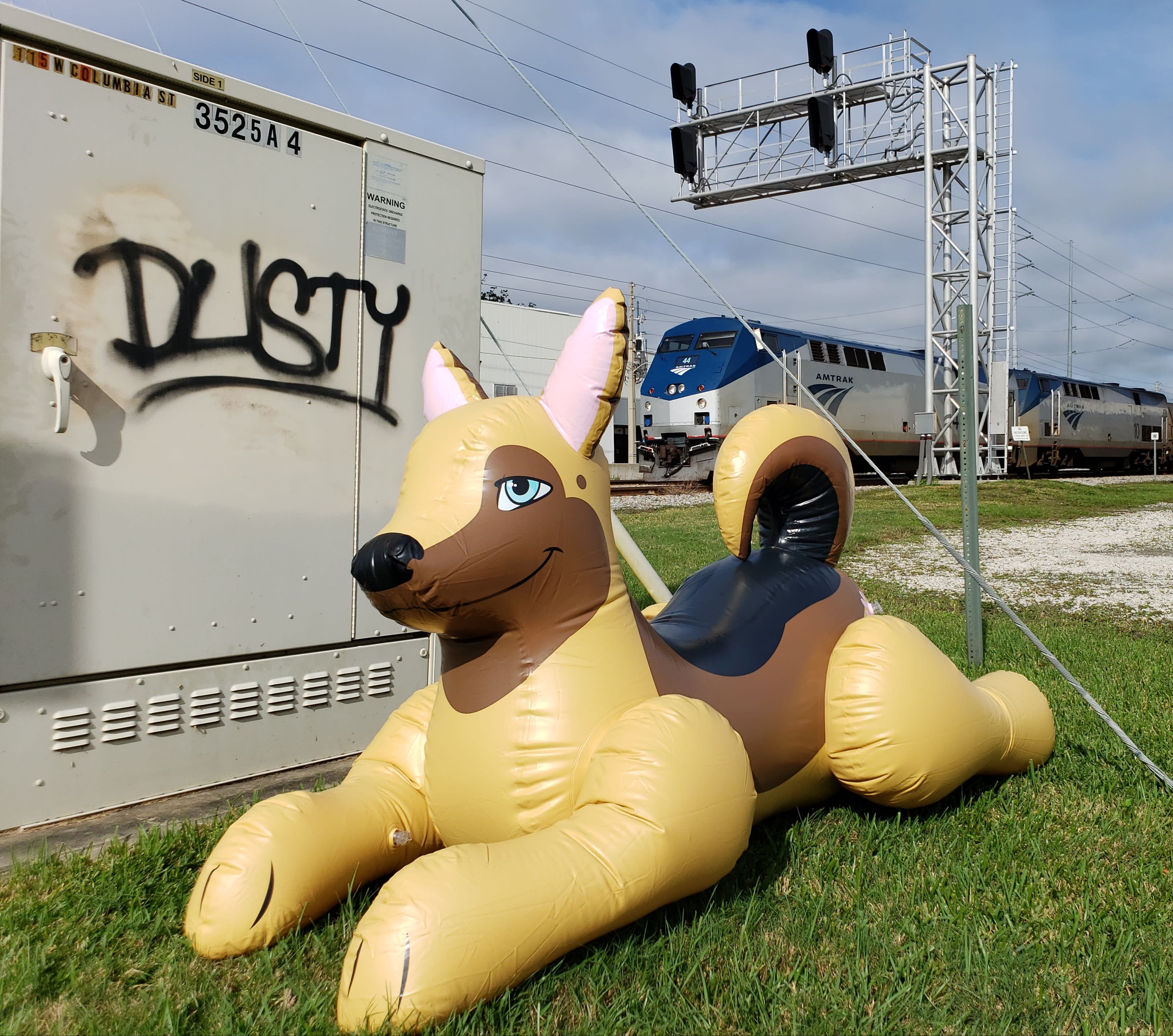 Loba poses with some oddly appropriate graffiti and Amtrak train 91, the southbound Silver Star.