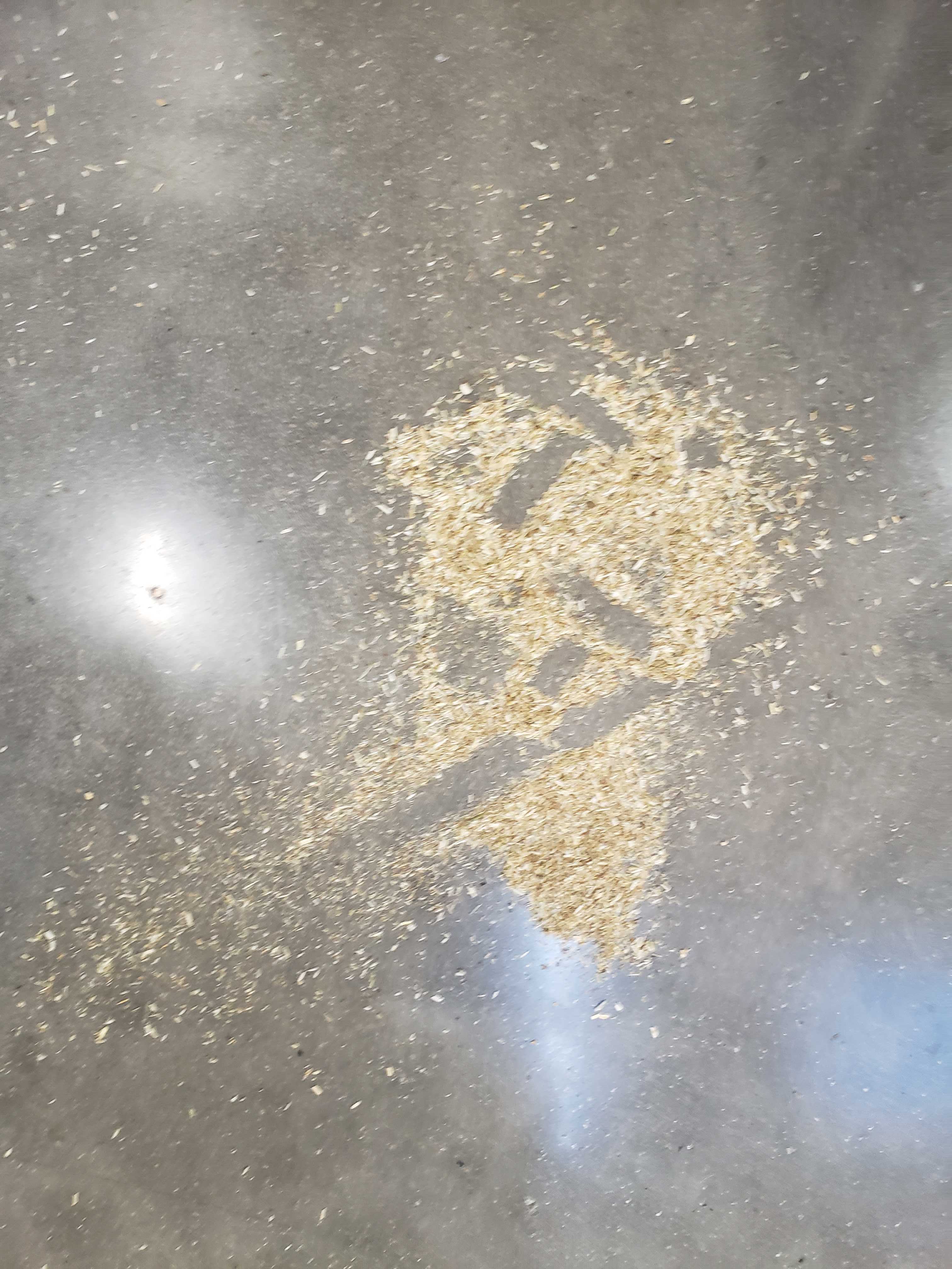 Something like a logo?