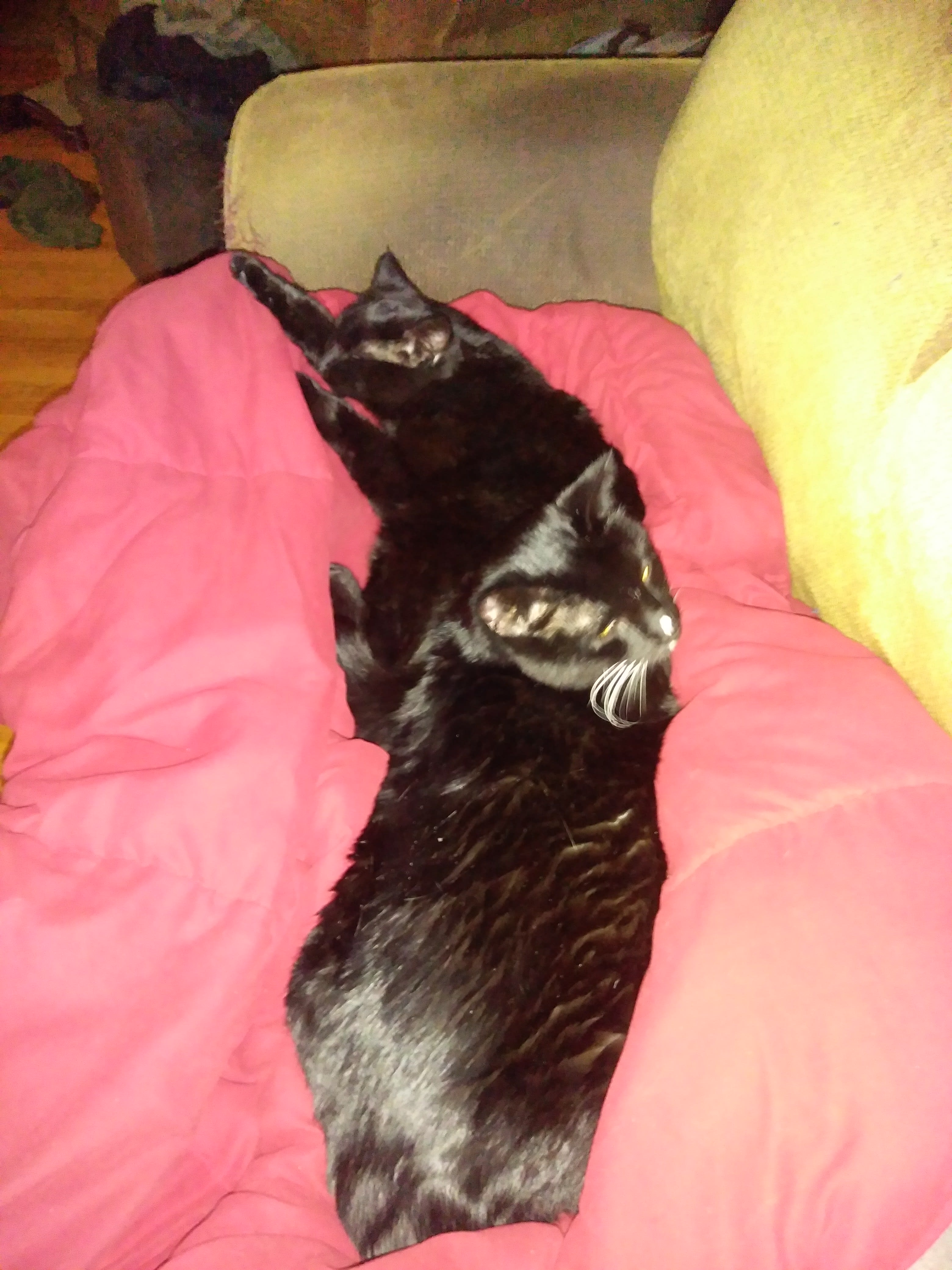 enter image description here