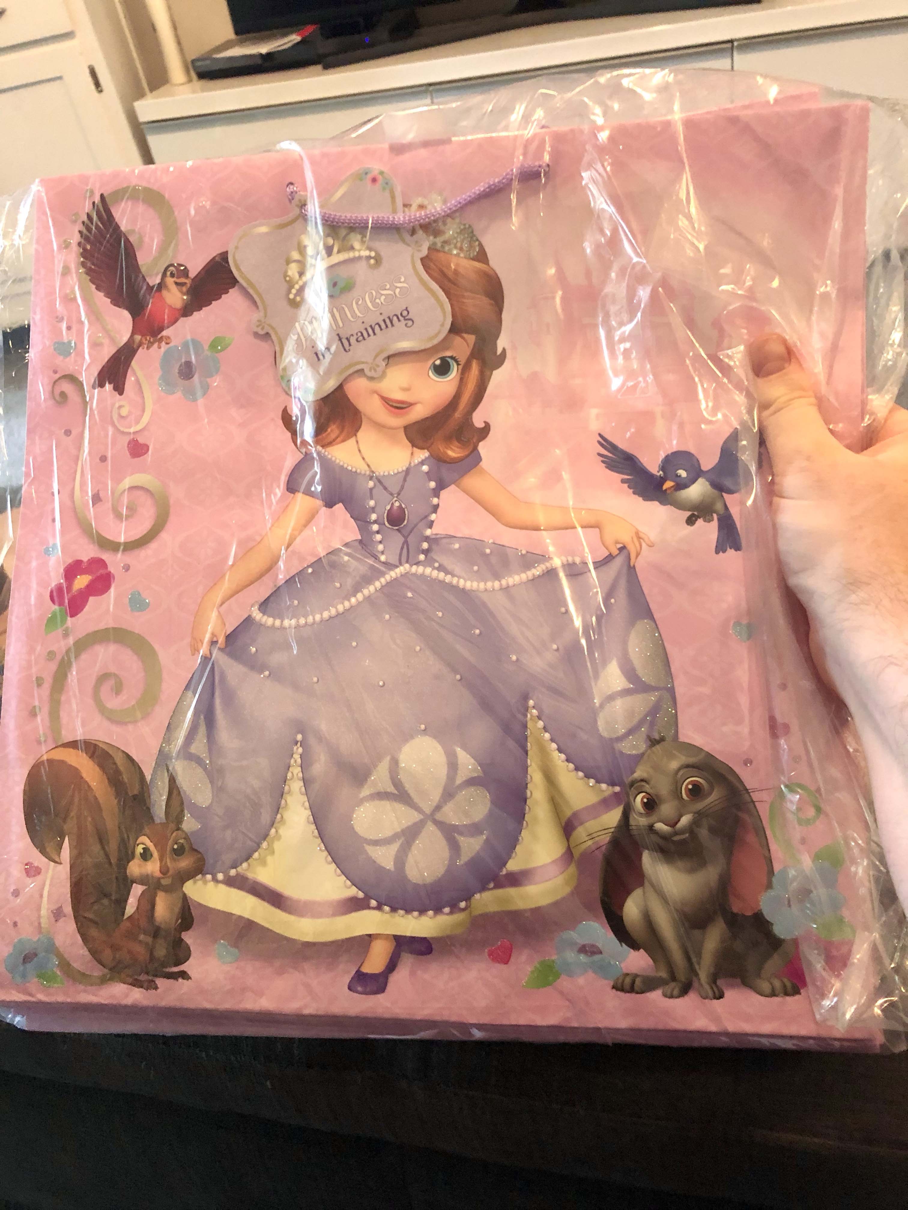 Princess in Training gift bags