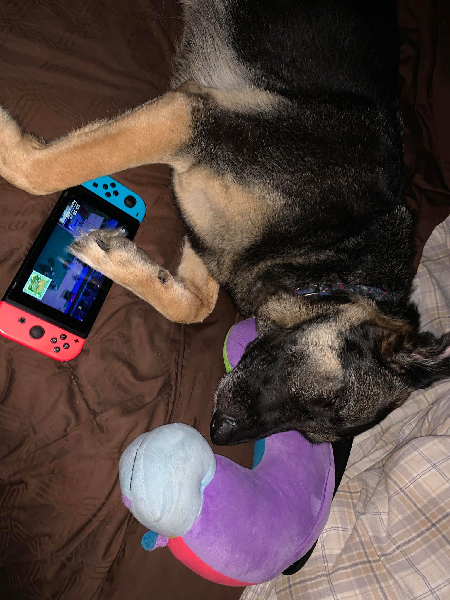 Not the emoji pillow..