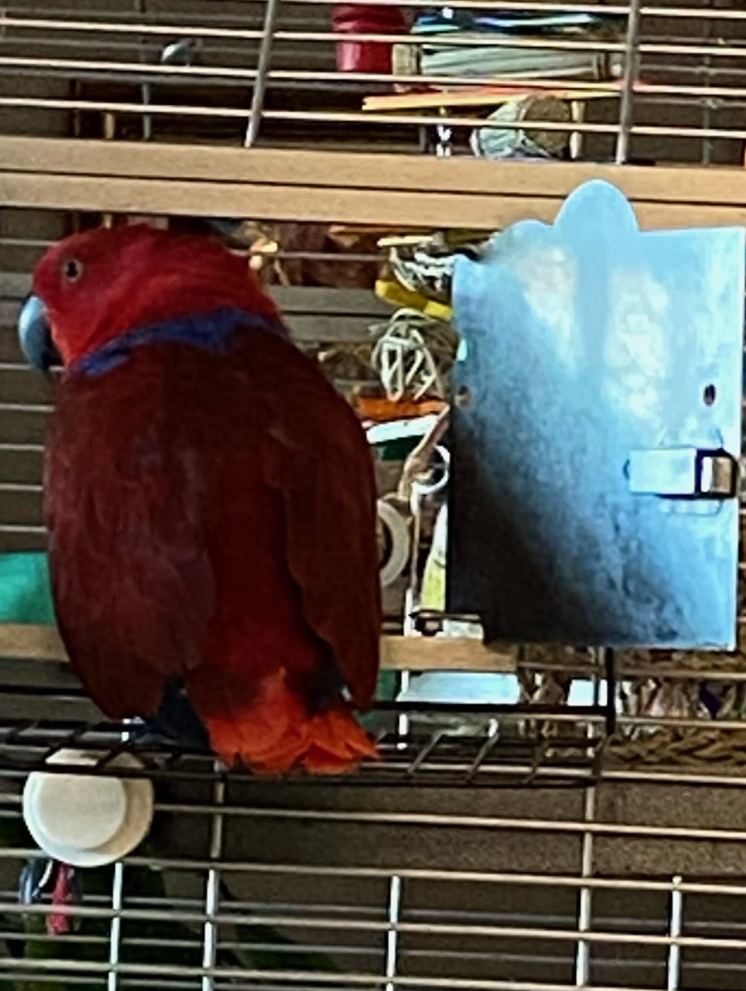 enter image description here