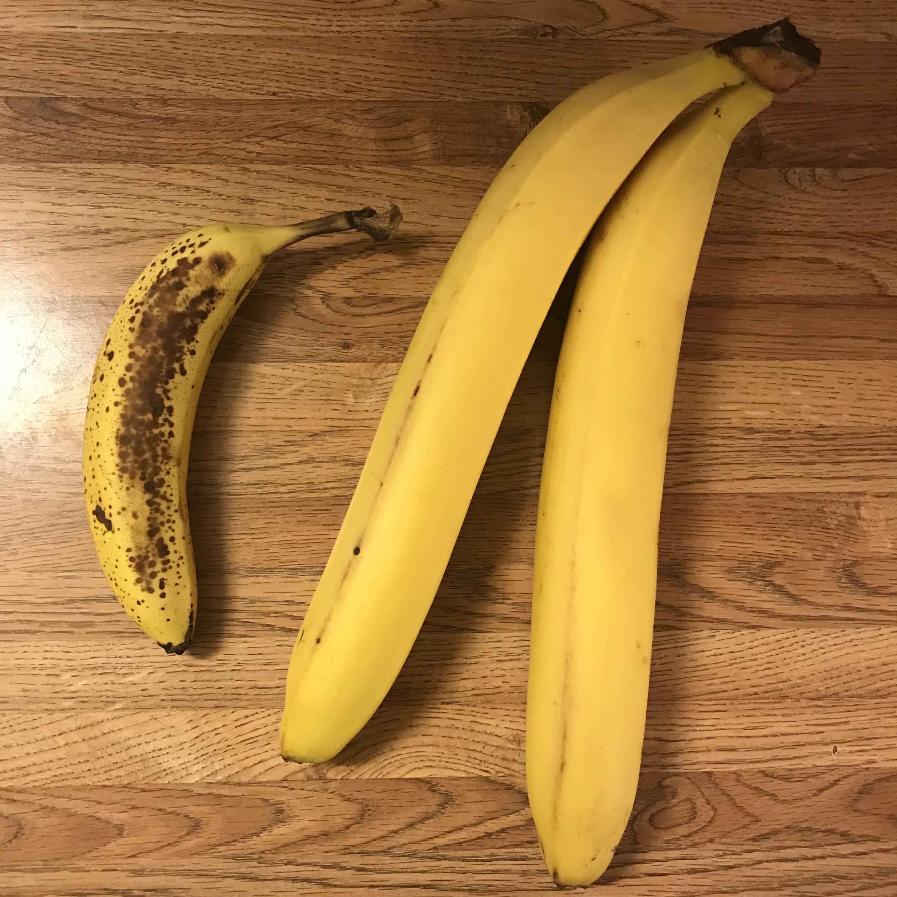 Bananas with a Banana for scale